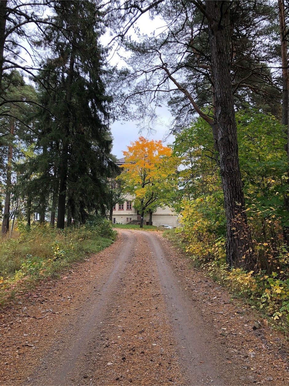 202010050816030050 - Löpning, svett och ansikte