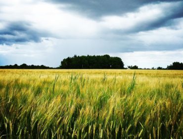 13730922_10208489825301406_4622471186484067859_o-1