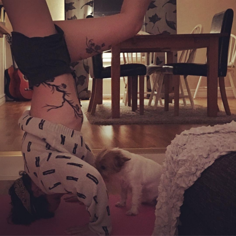 14352562_10208960510308237_462987410149349950_o