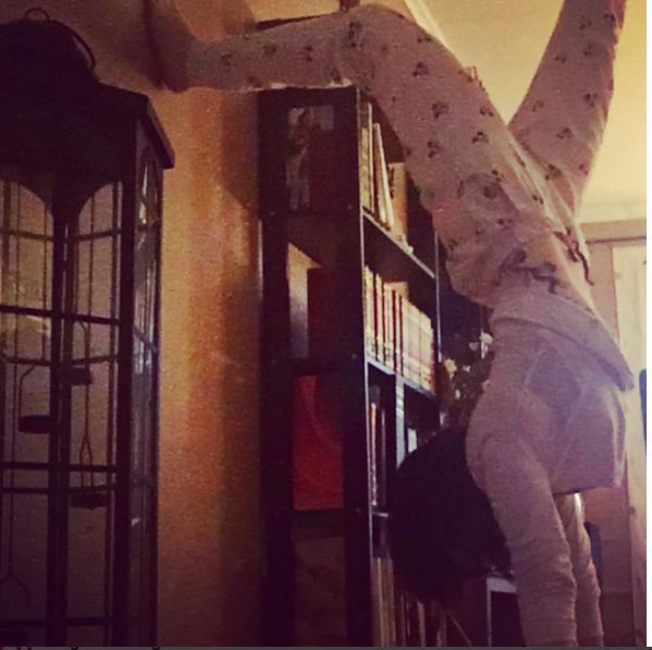 Skärmavbild 2017-05-14 kl. 21.51.30.png