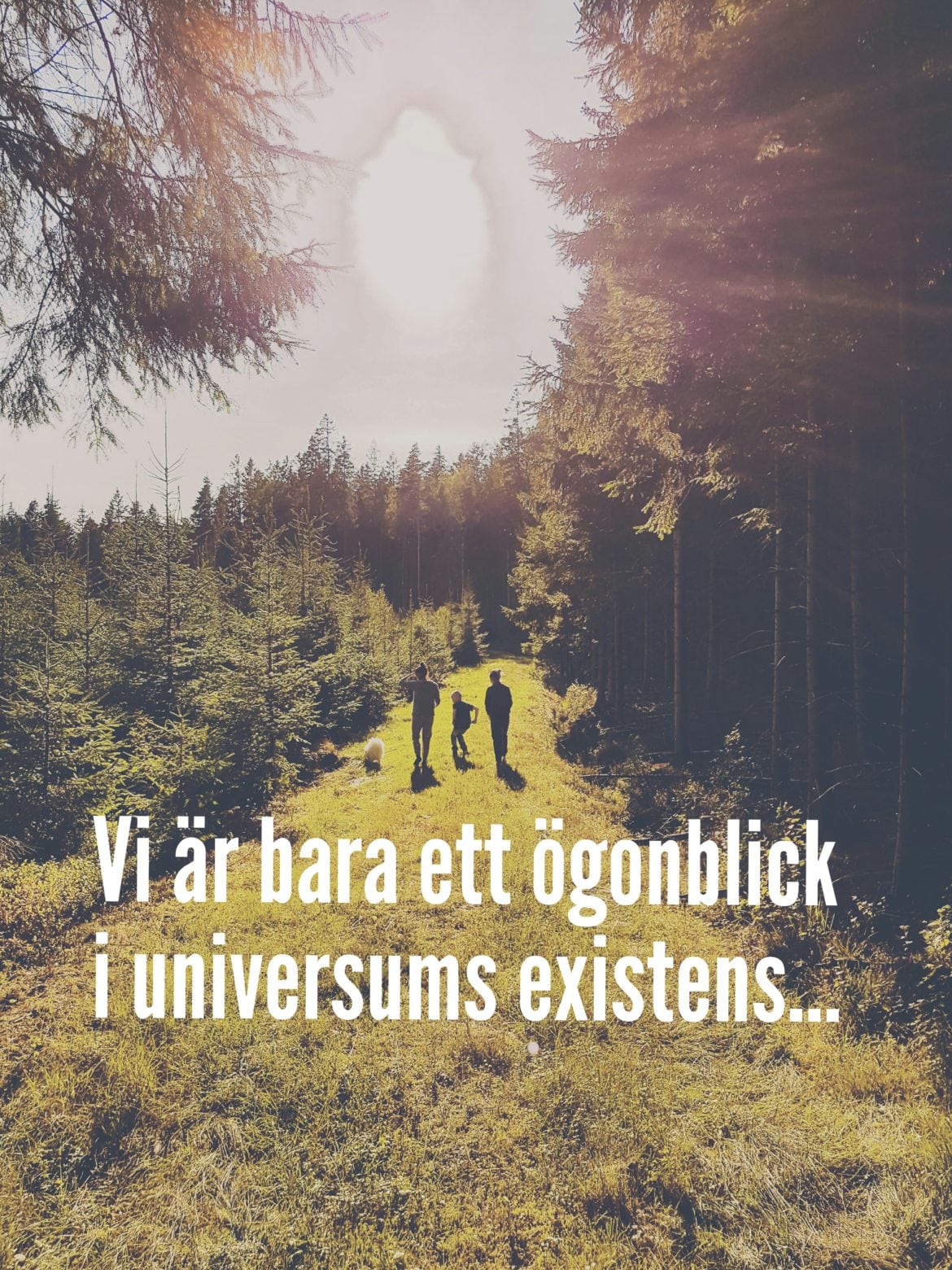 aviary-image-1525855460409 - Föräldraskapets uppdrag: Mission Impossible och man är Ethan Hunt.