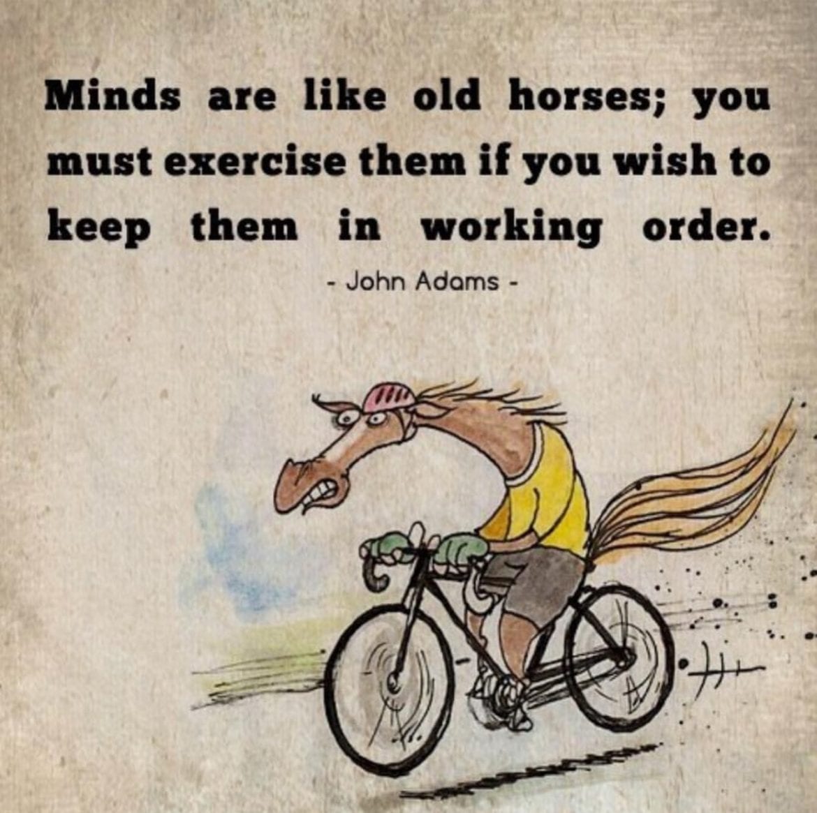 horsemind - Love, energy & mindfulness