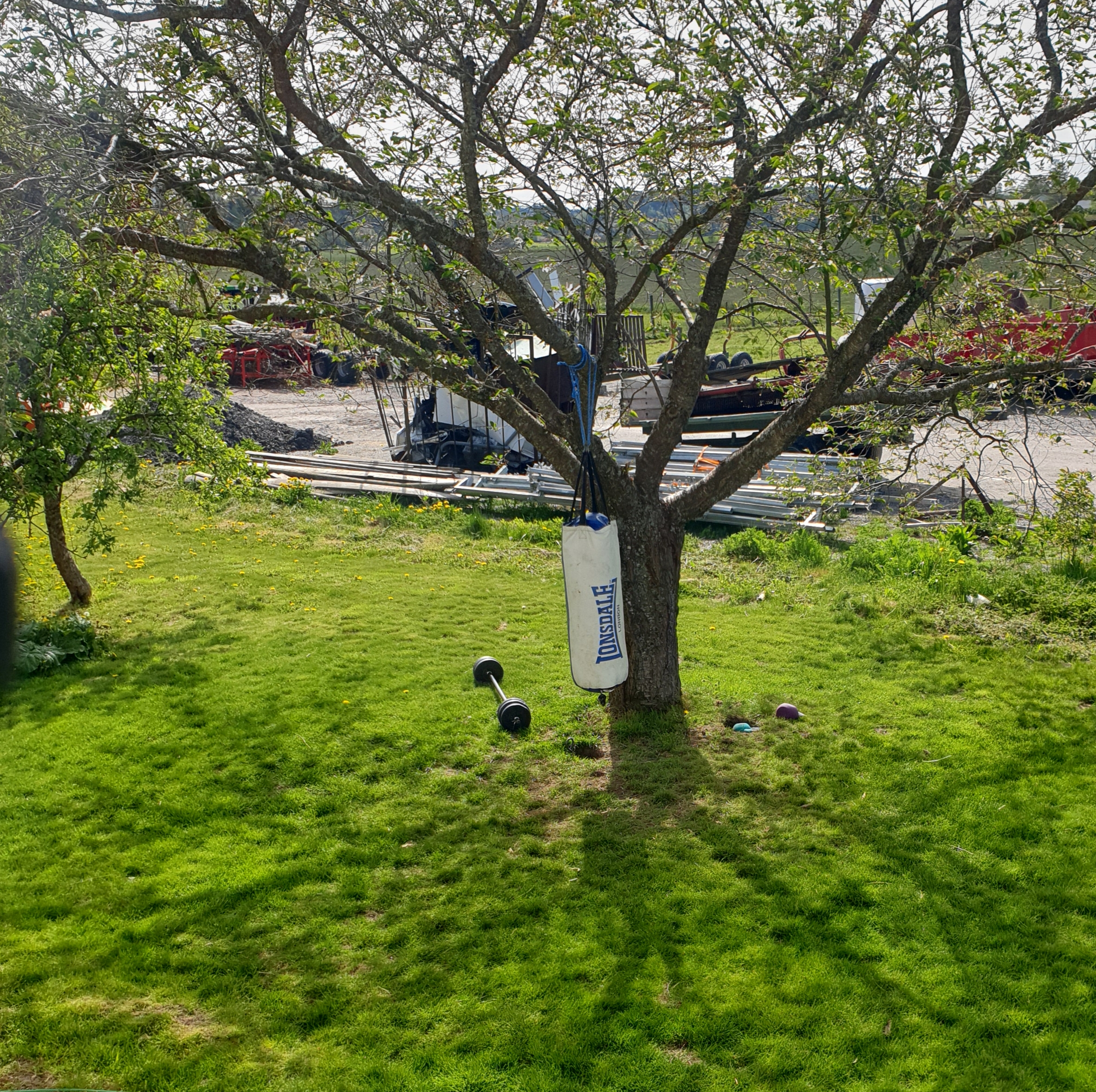 20190515_110752 - Min oas i sommar
