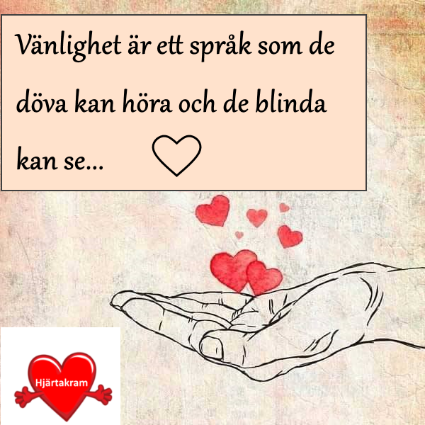 11010616_899101206837094_1277793602474980532_n - Det finns inga sen, inget då, bara NU.