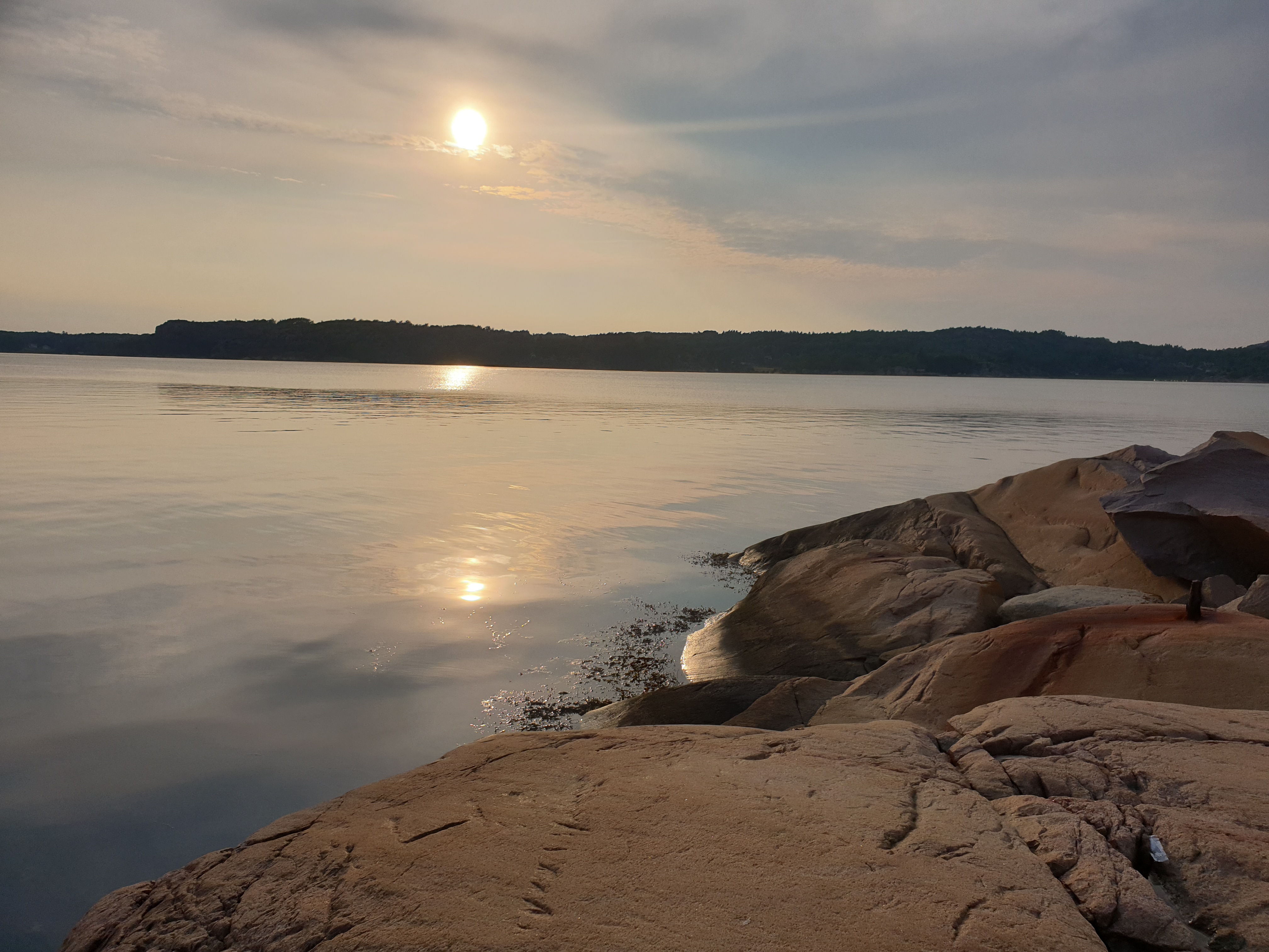 20190729_194741 - Jag lever jämt men sprakar på sommaren.
