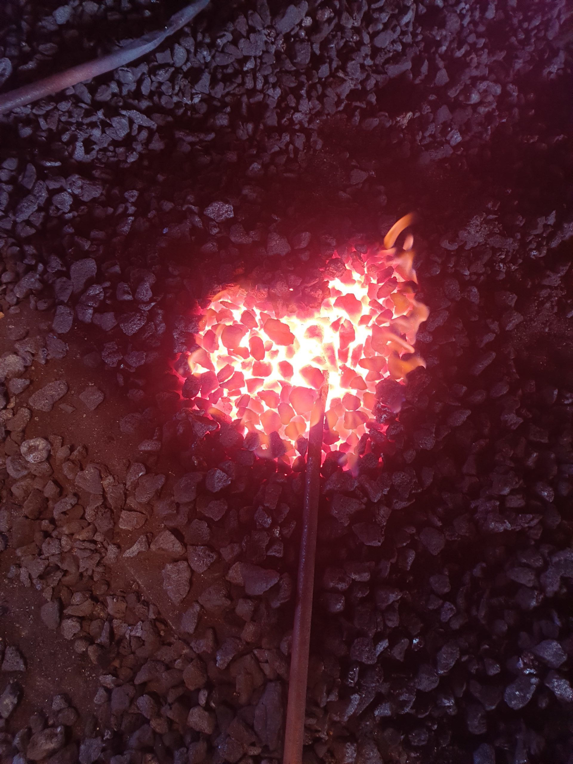 20200327_113418-scaled-e1585429409296 - vilja