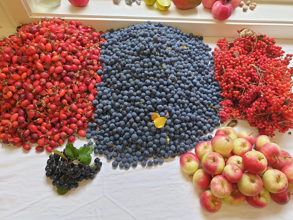 20210912_164553-1024x768 - Träningen & maten, detta fungerar... på riktigt...