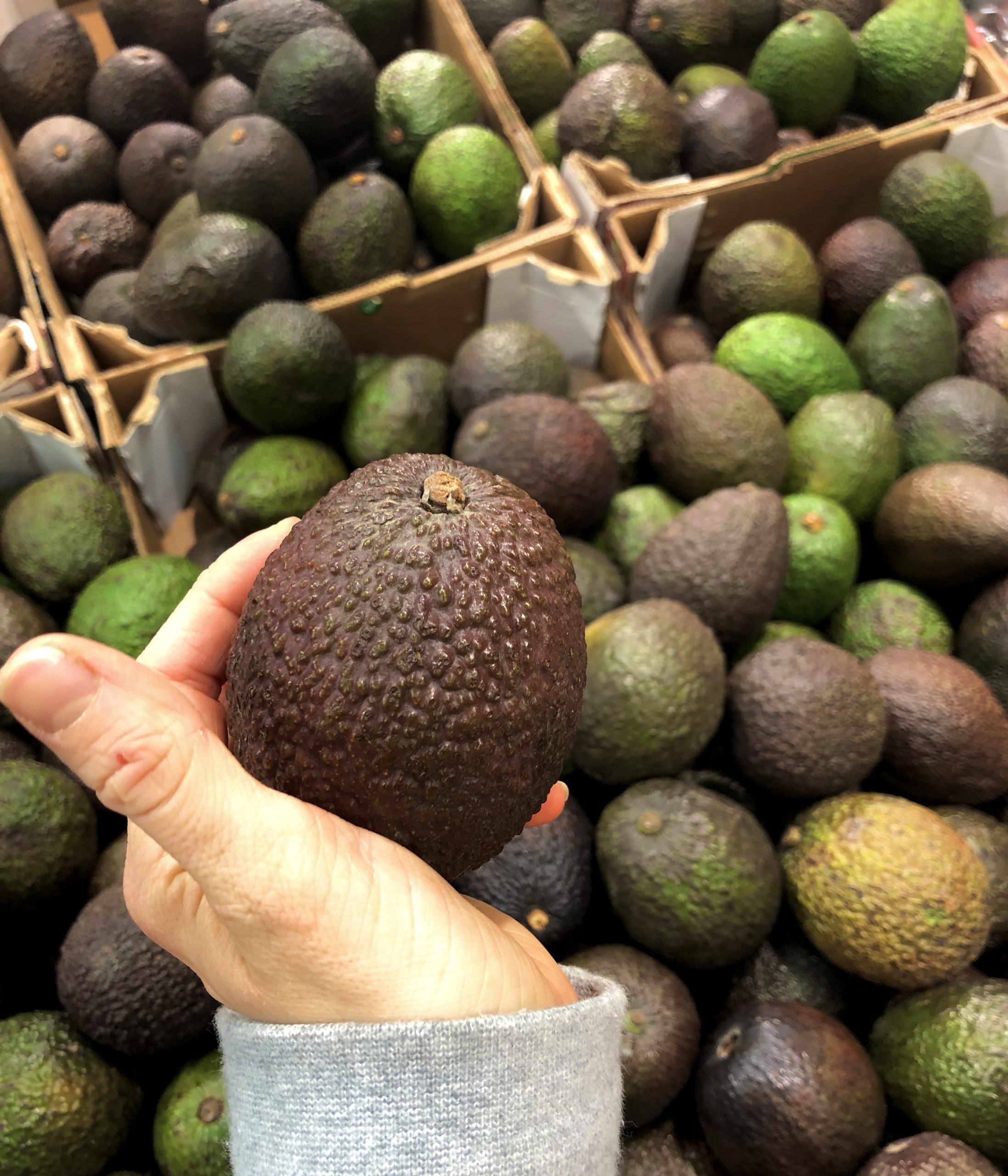 avo-scaled - Skillnad på fett och fett - hur du väljer rätt