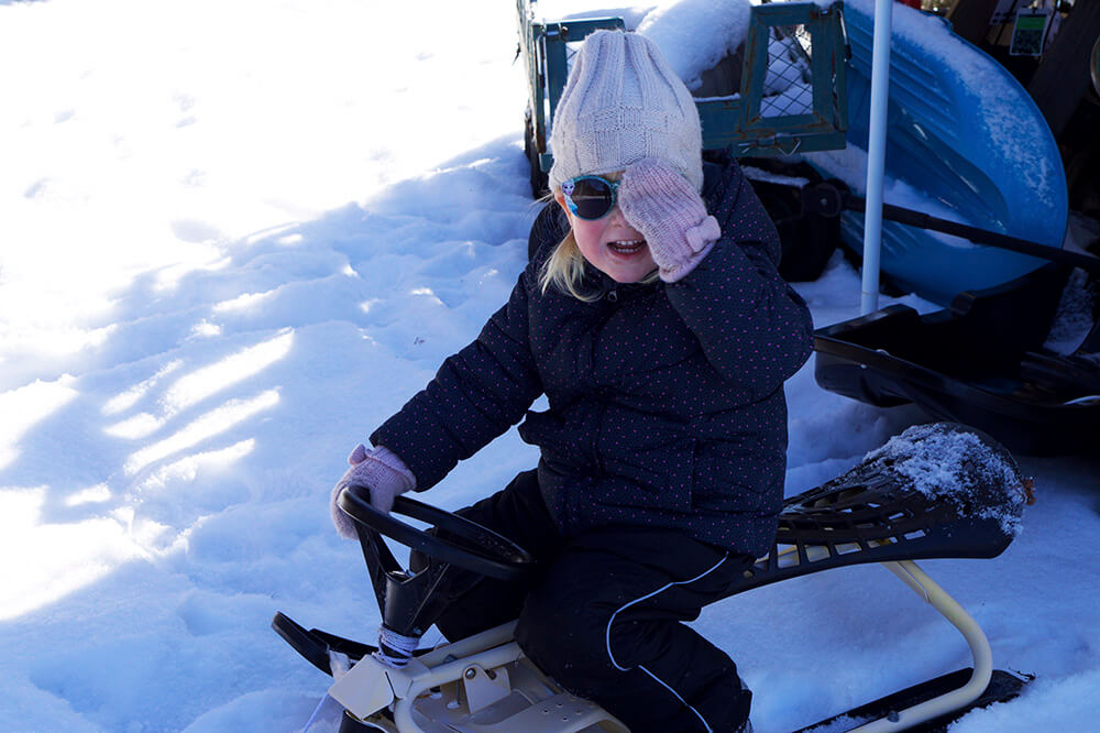 Vinter i trädgården