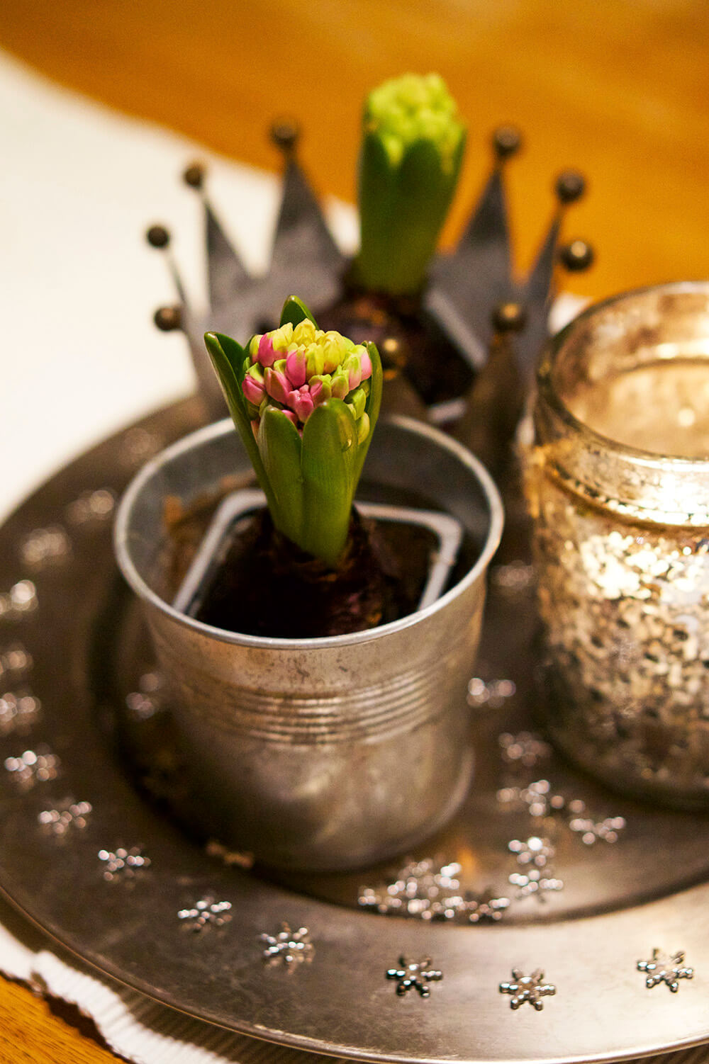 Vinterpynt med hyacinter och ljus