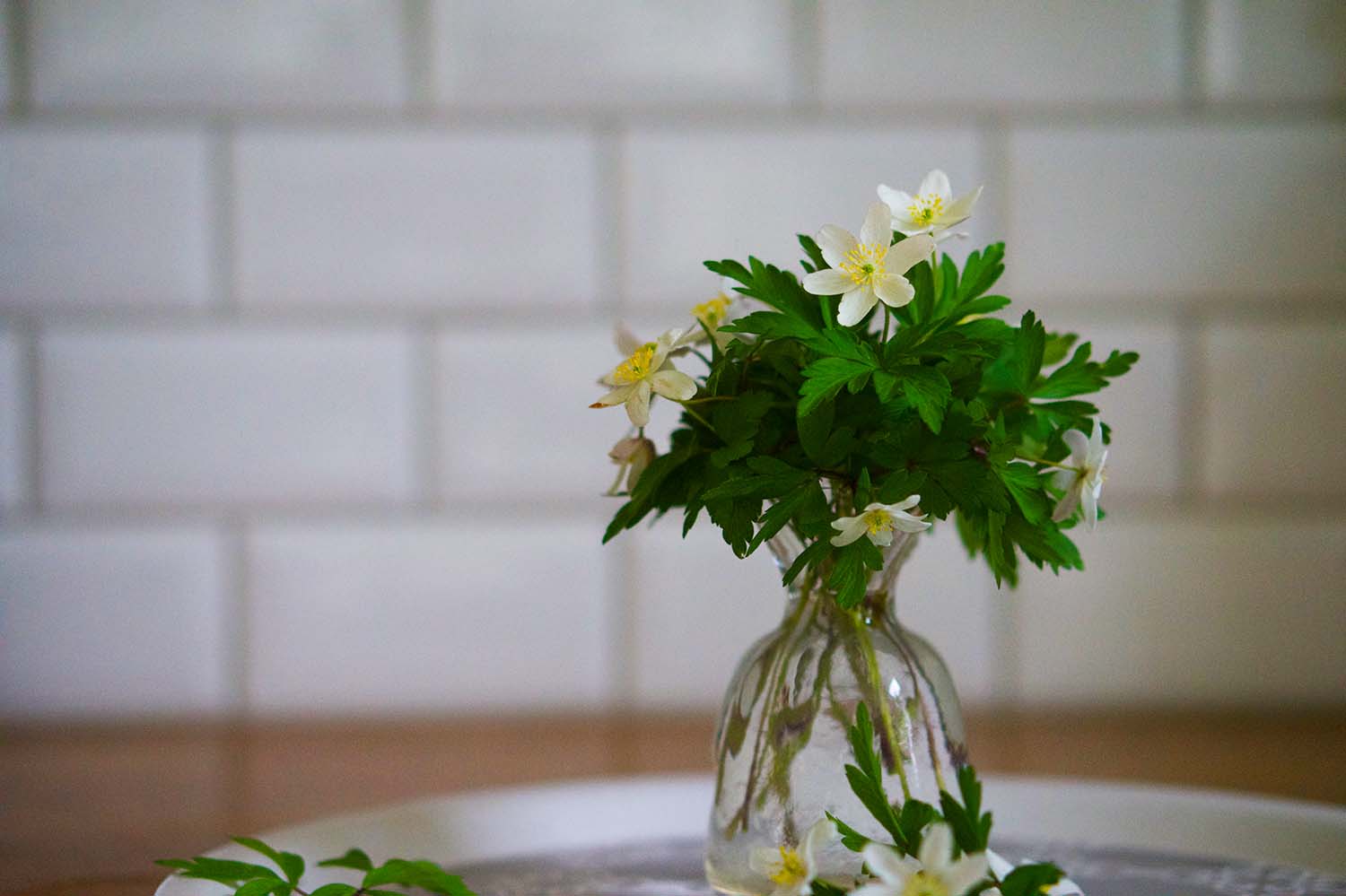 var-basta-tid-ar-nu-vitsippor-i-vas-2-3 - Aprilaktiviteter