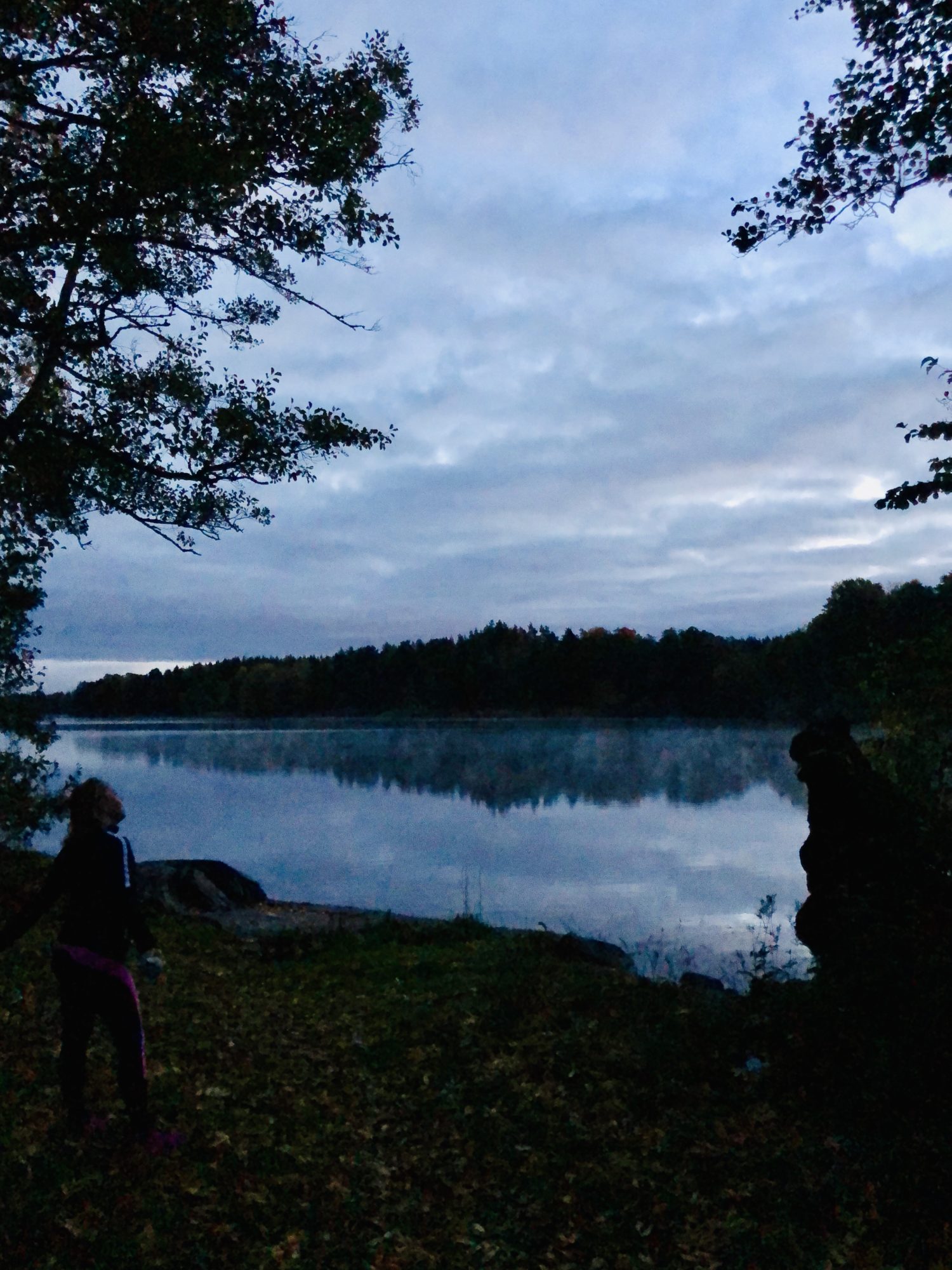 Mörk, mysig och kall morgonlöpning