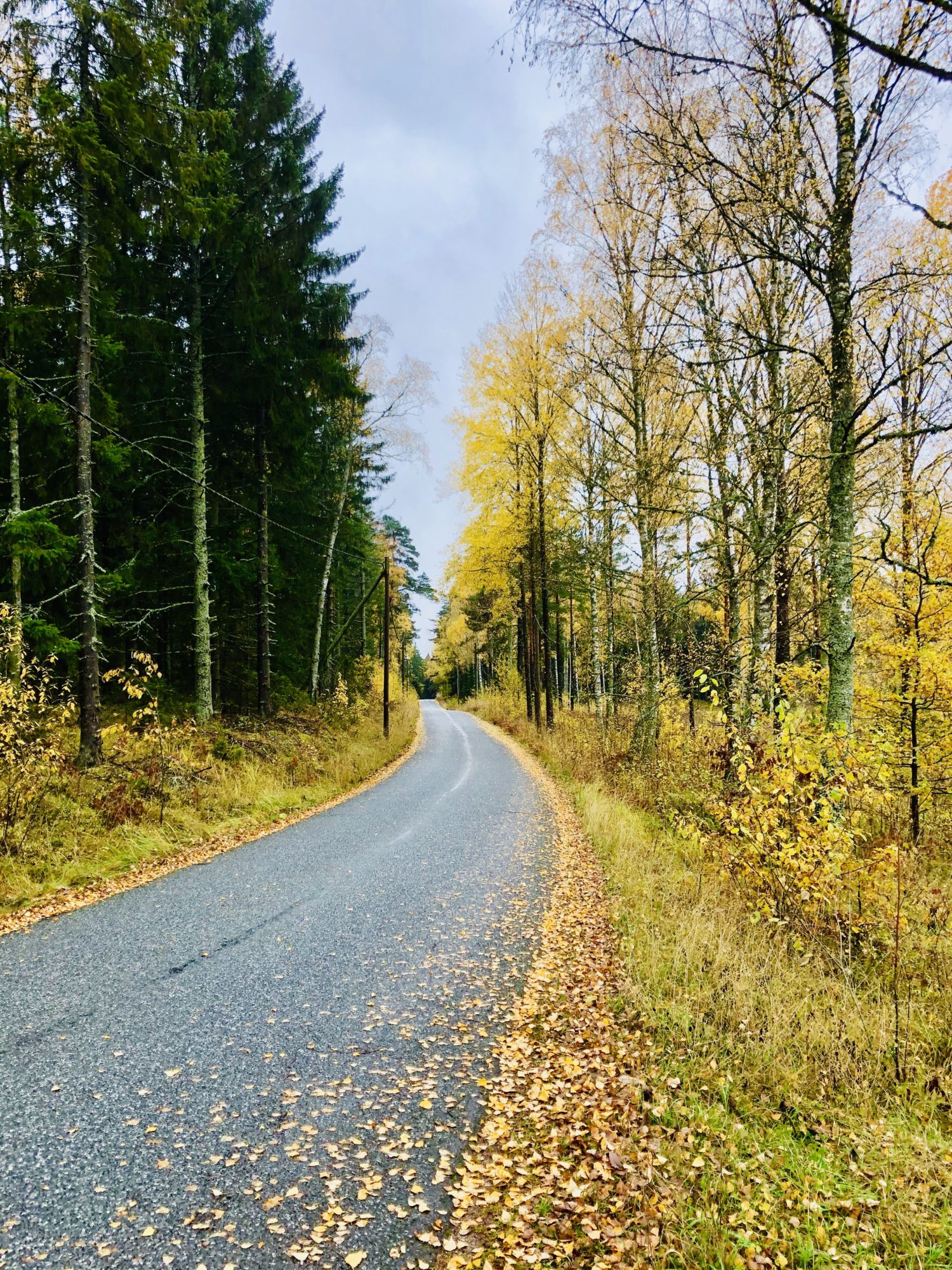 Utomhusliv på hösten
