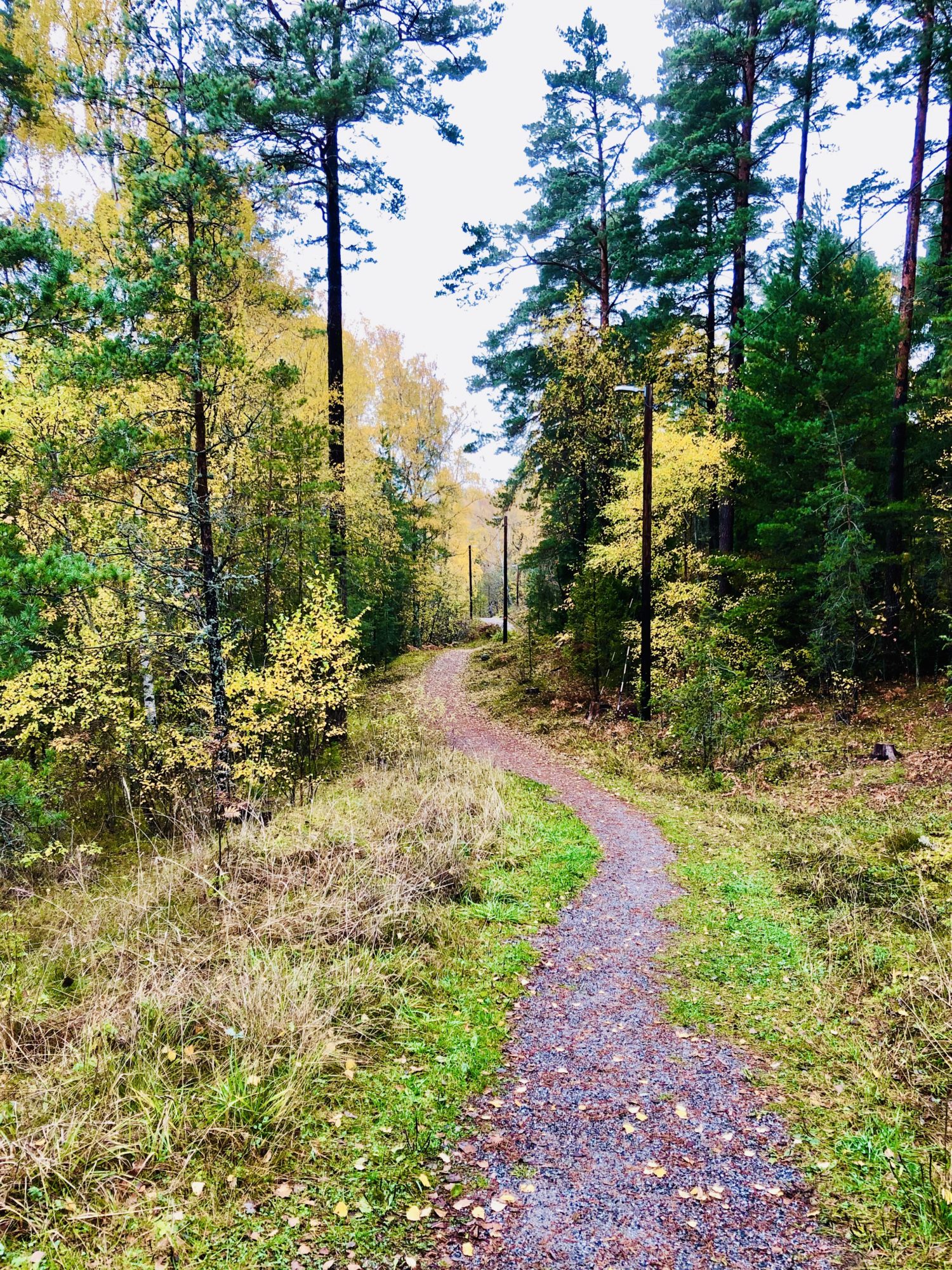 Utomhusliv på hösten