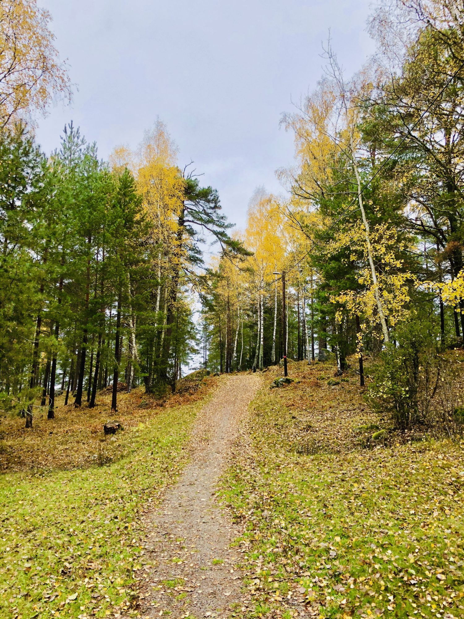 Utomhusliv på hösten