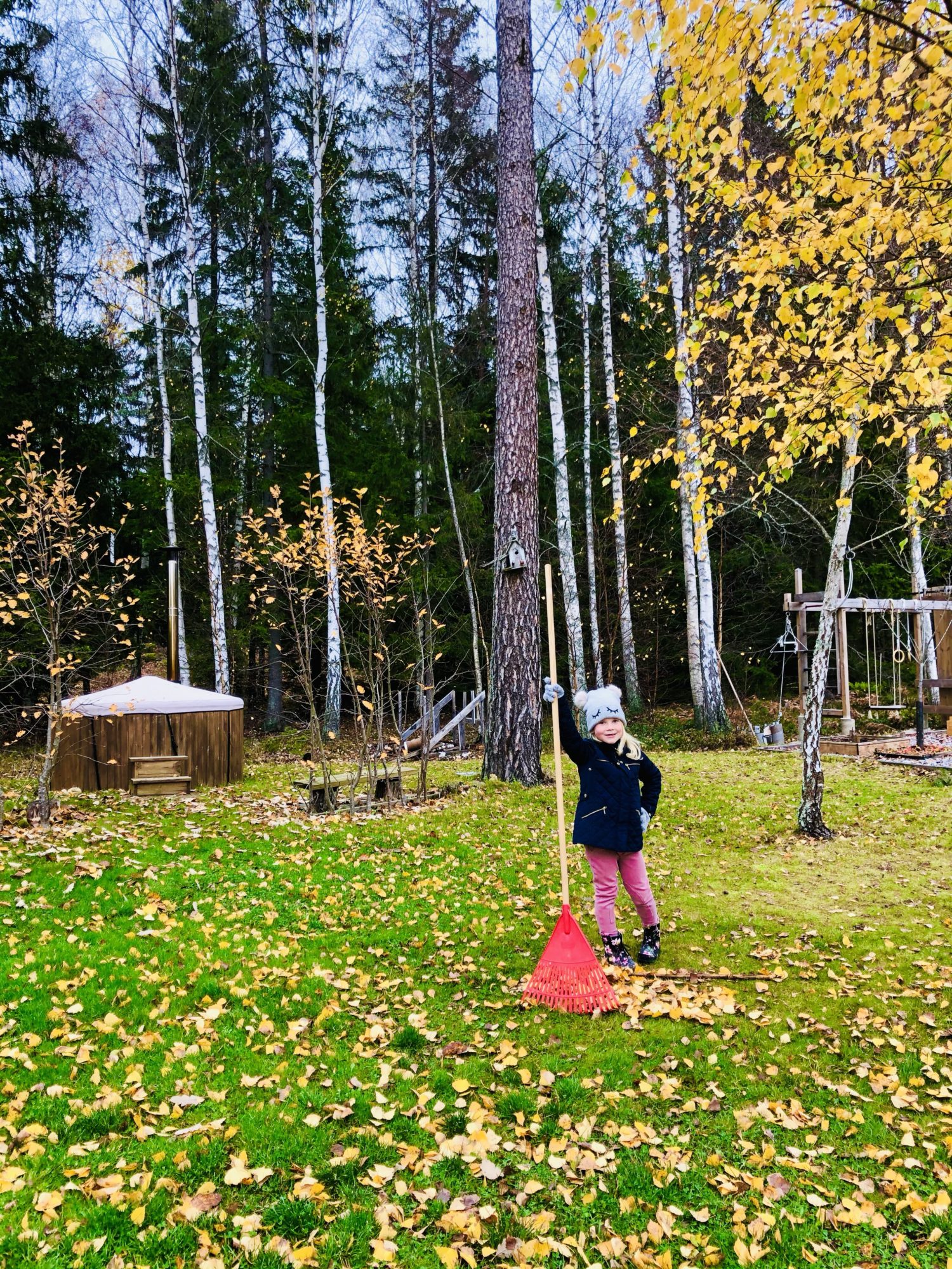 November 2020 - trädgårdsarbete