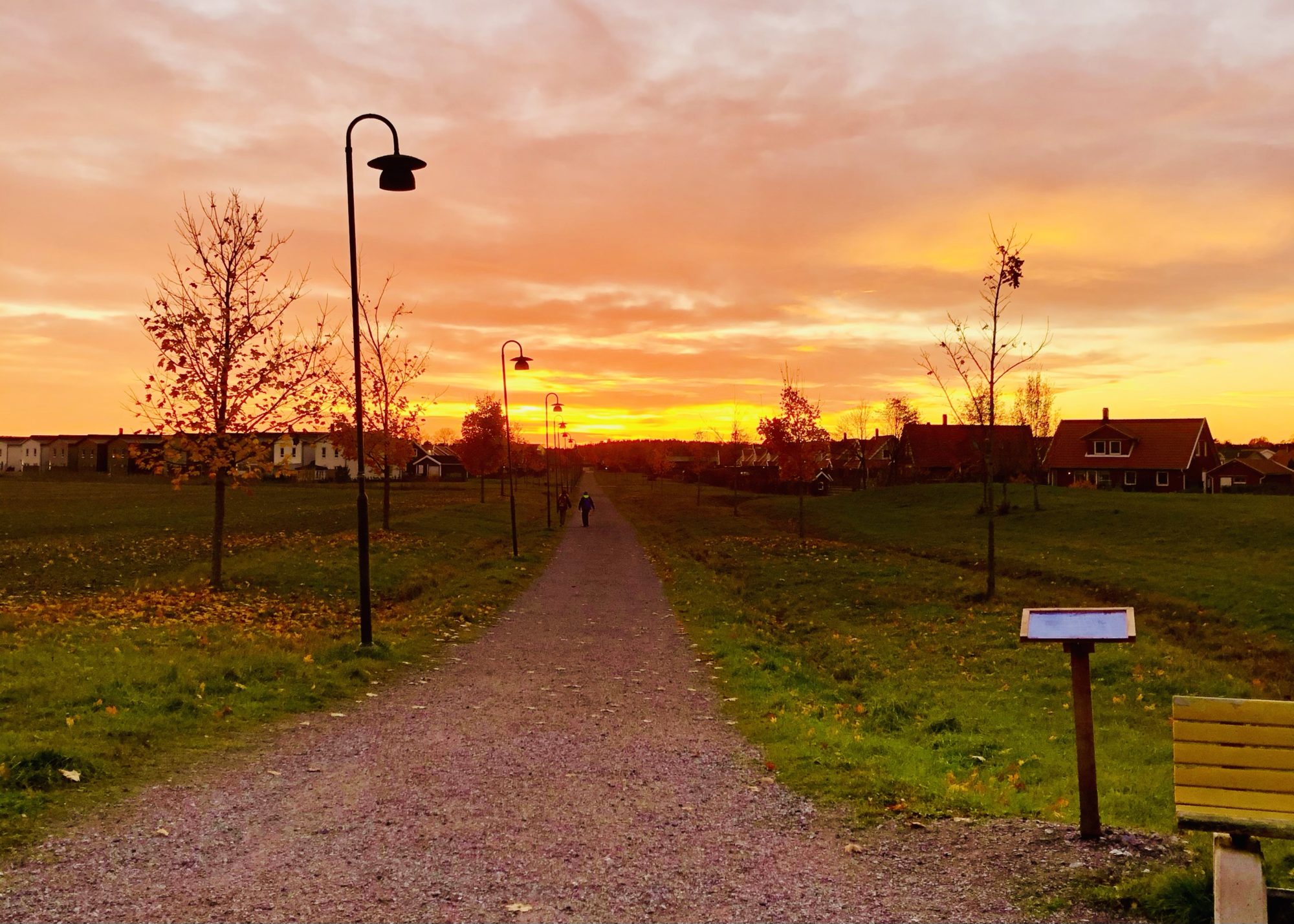 En lantlig väg i solnedgång