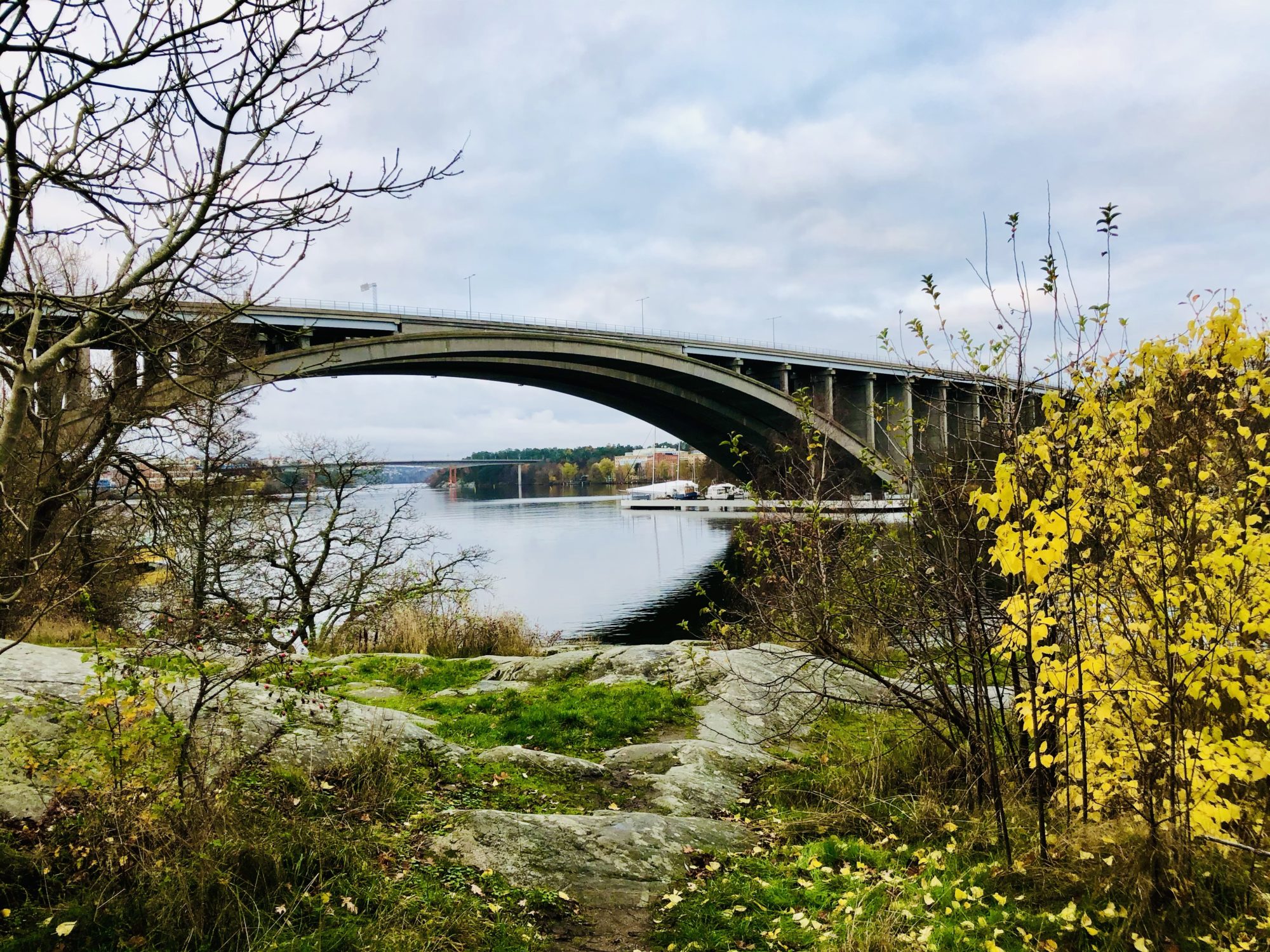 Kungsholmen Runt löpning