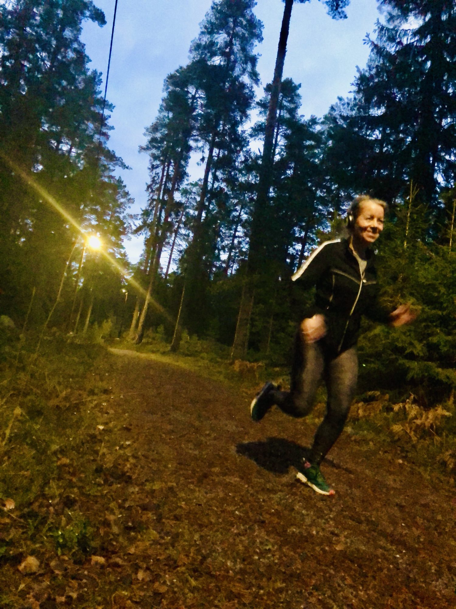 Löpning i skogen
