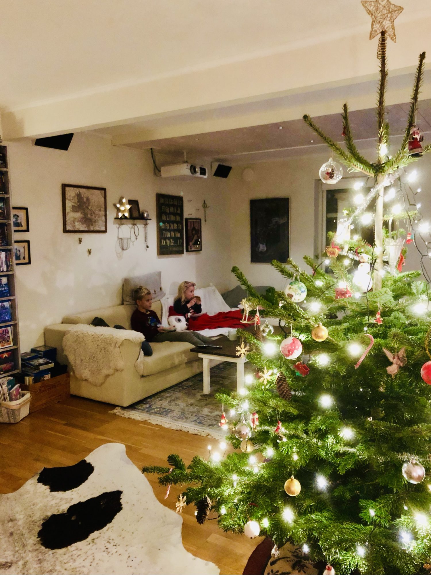 img_2238 - Veckans Bästa - vecka 50 ♥