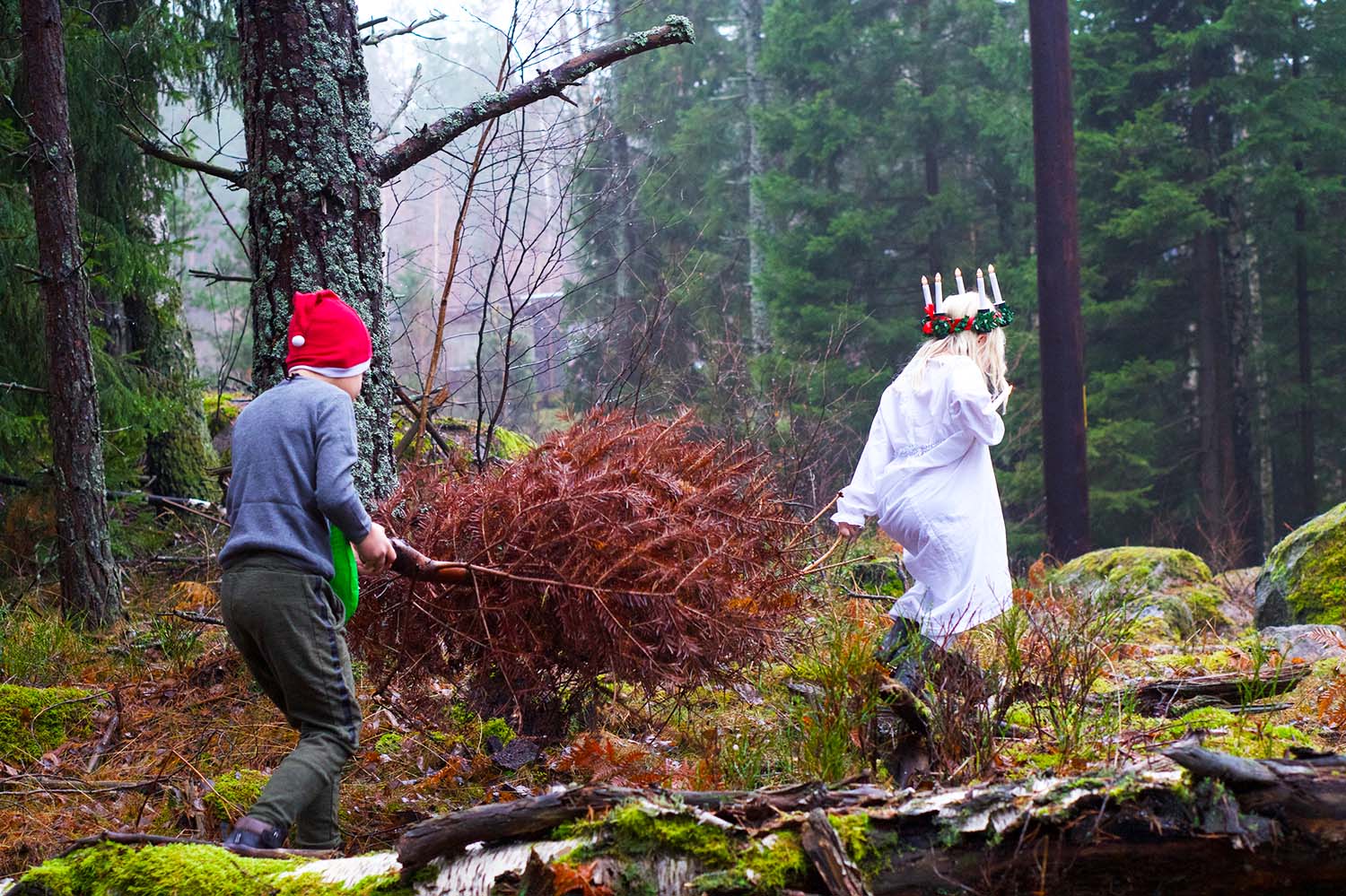 Julförberedelser med barn - julkort i skogen