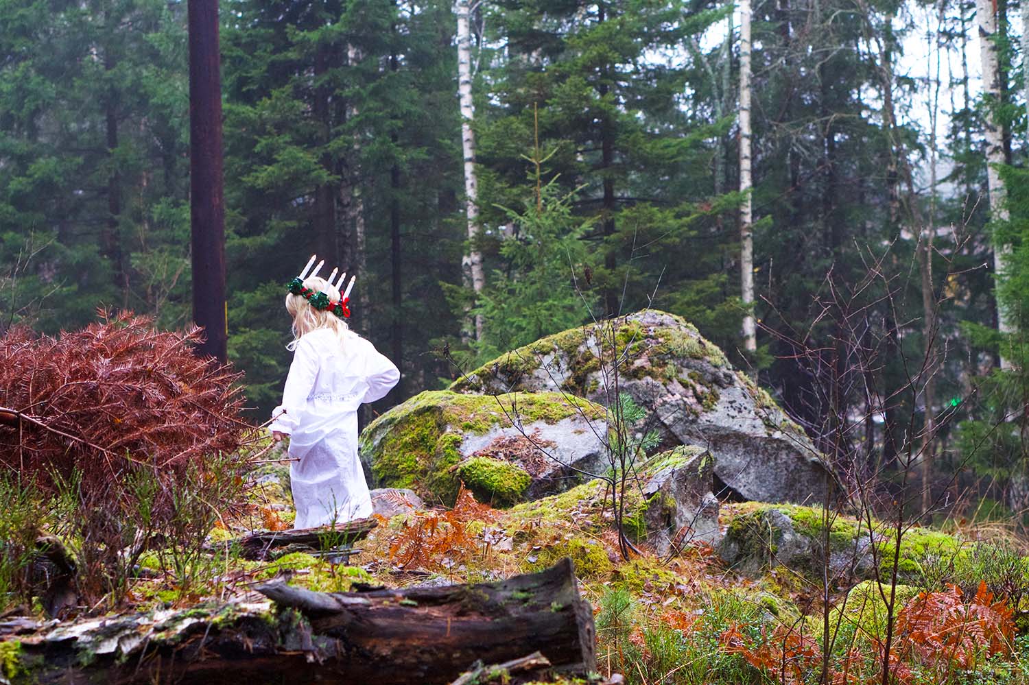 Julförberedelser med barn - julkort i skogen