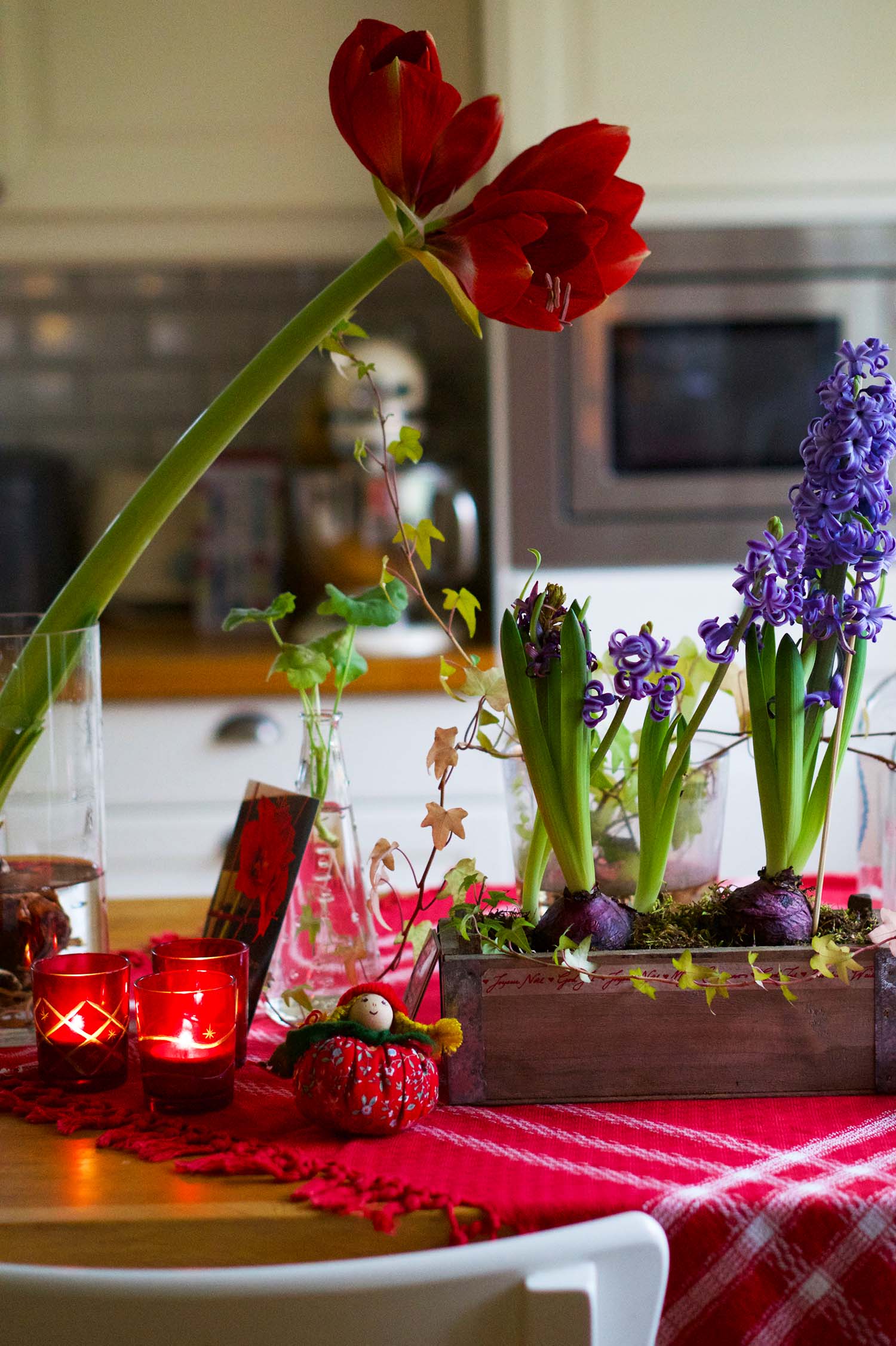 Julstämning hemma med julblommor