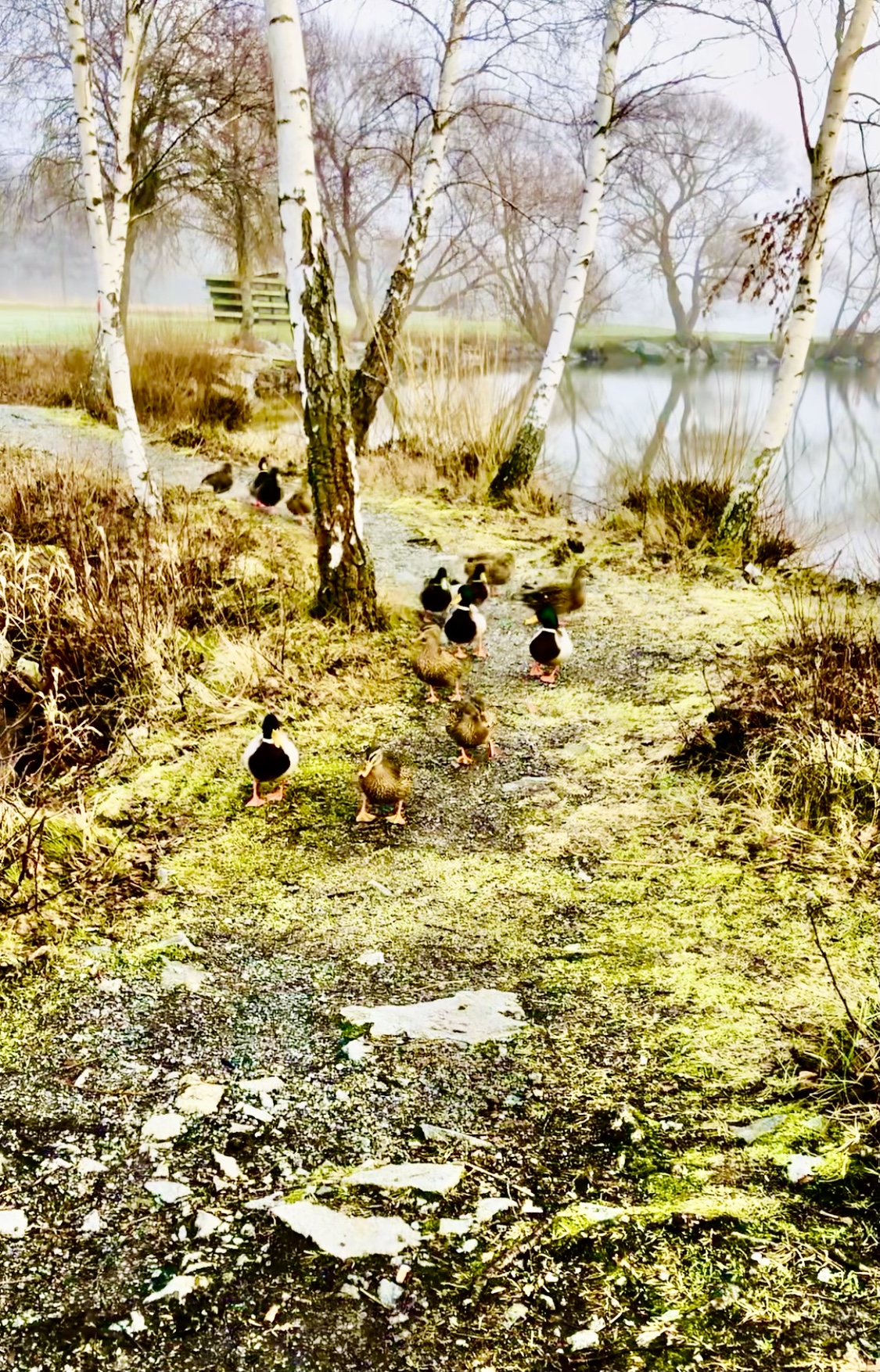 Vacker utflykt i vårt närområde