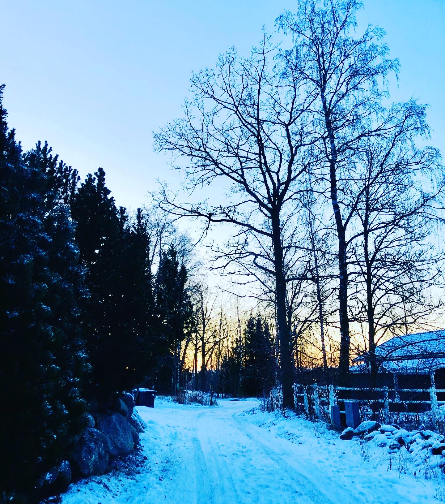 8323DA09-7030-4B91-92AF-DF187DA3A00D - Veckans Bästa - vecka 2 2021 ♥