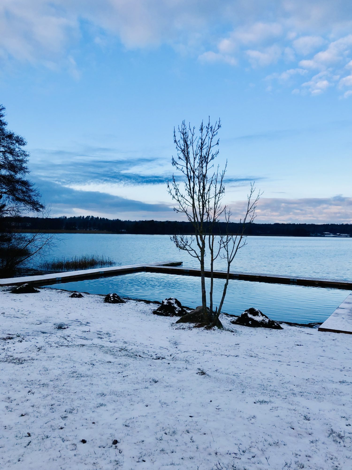 958B03E7-773F-4ACC-BB45-A13264B1866C - Veckans Bästa - vecka 2 2021 ♥