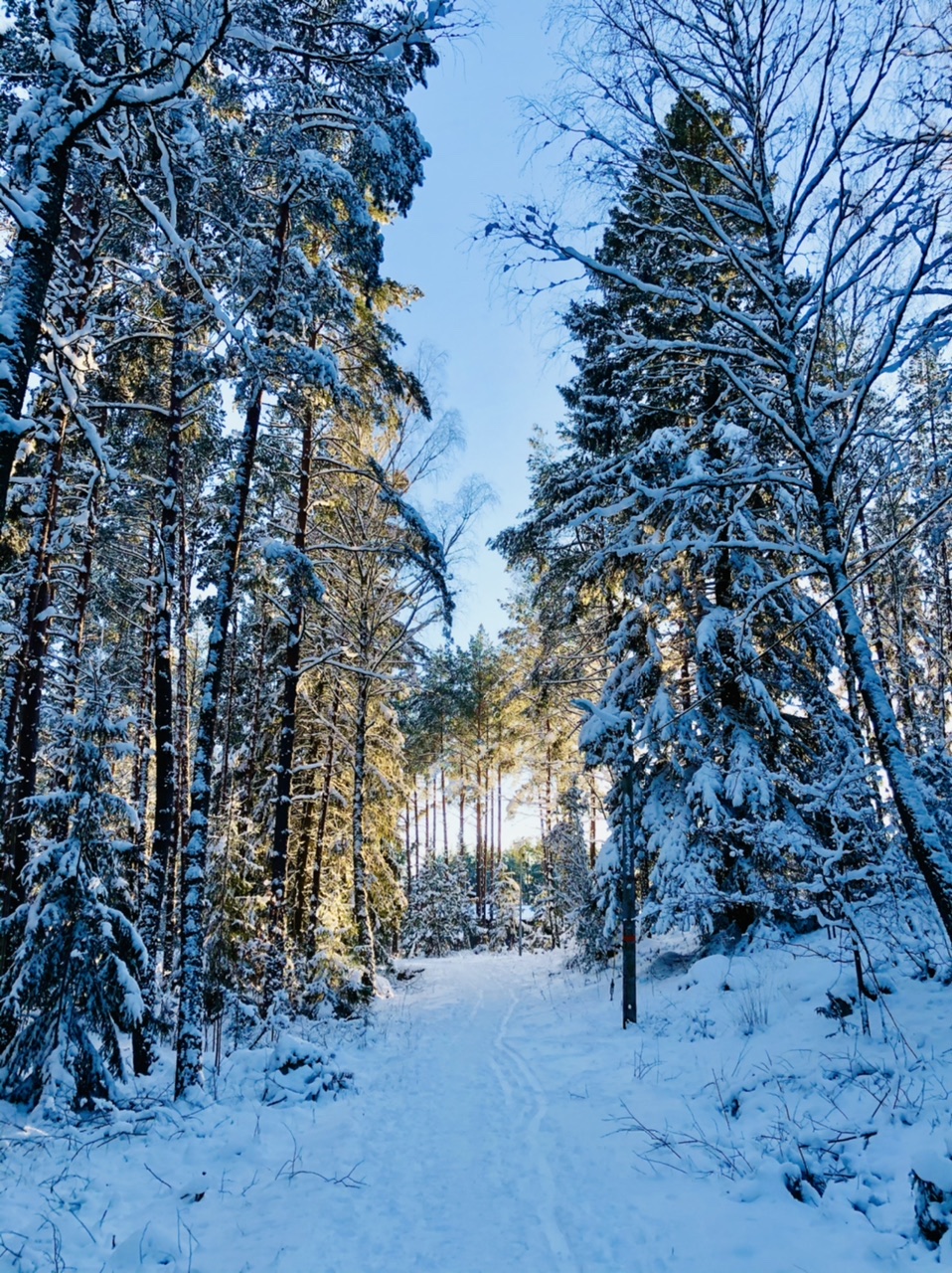 AD01F07E-7AF4-422B-9164-FC1402EEF50F - Om att göra varje dag till minnesvärd