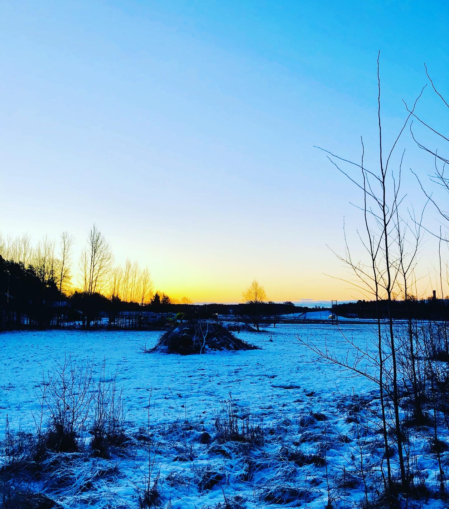 D5202A6B-18DF-4531-B880-C8FC3027E47A - Veckans Bästa - vecka 2 2021 ♥