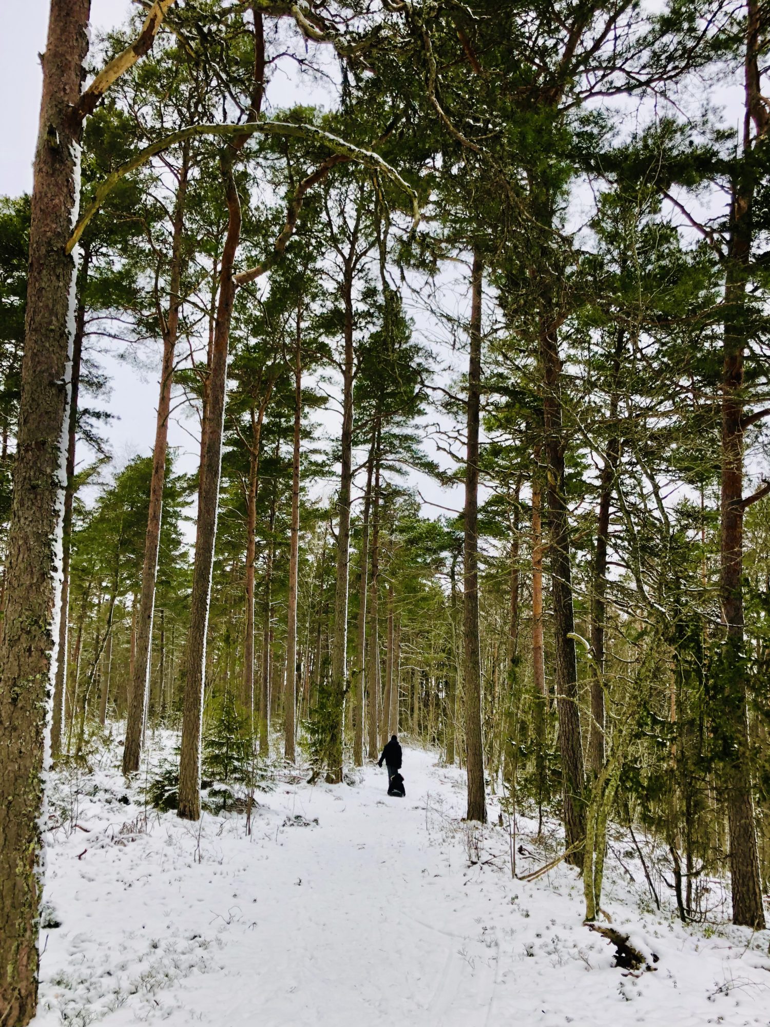 EC1EDFE4-C397-41E6-BE41-61E20B8E3D64 - Det fina med att upptäcka nya platser i ens närhet