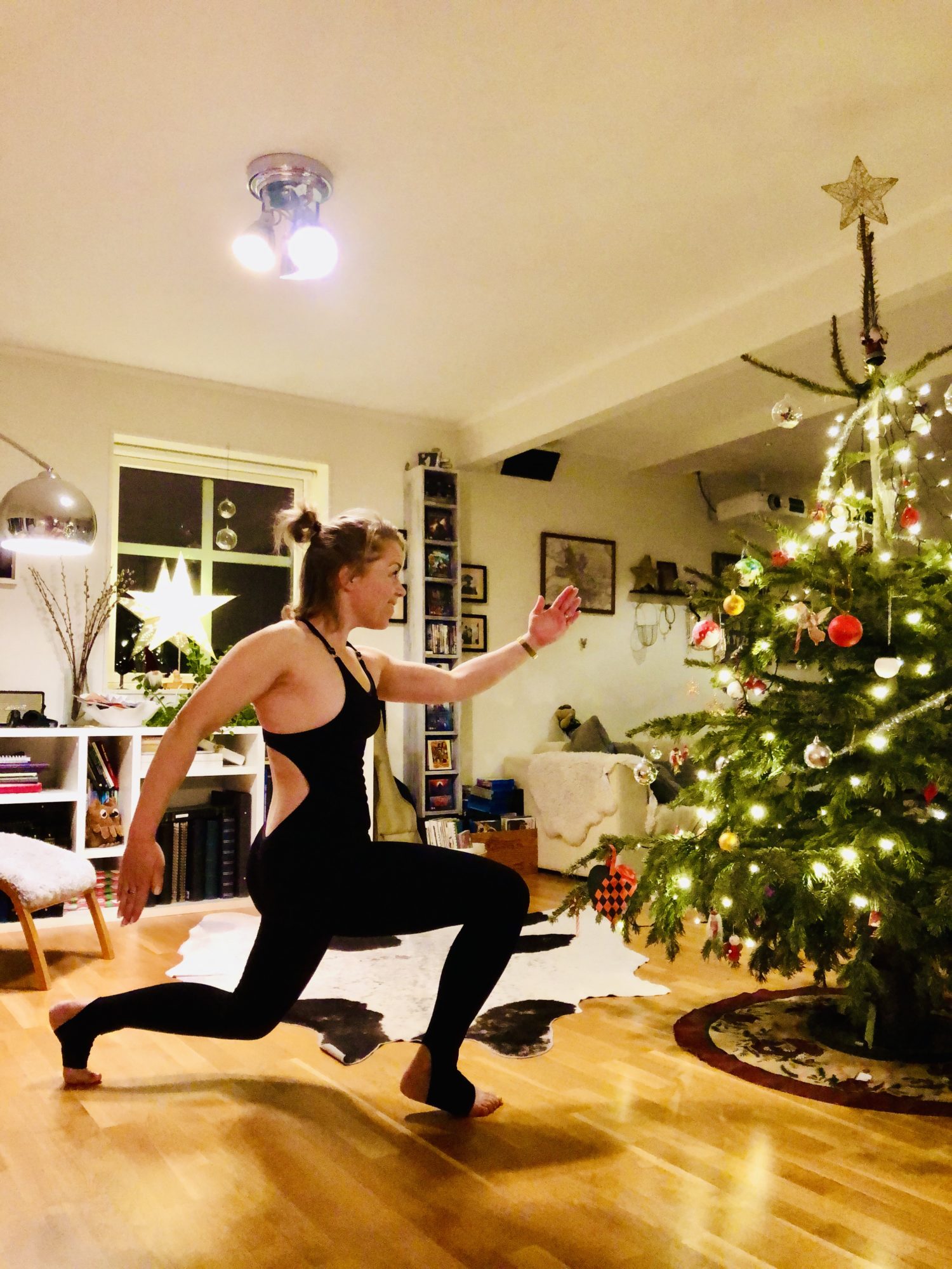 kasta-ut-julen - Kasta ut julen