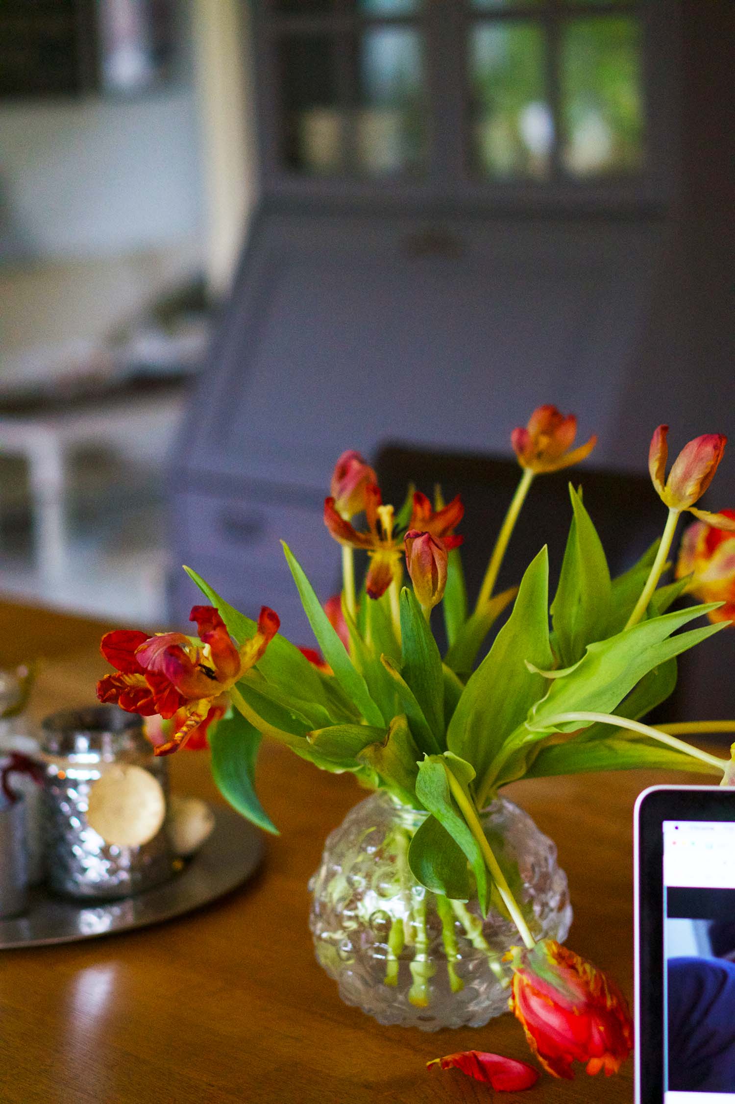 Tulpaner på hemmakontoret