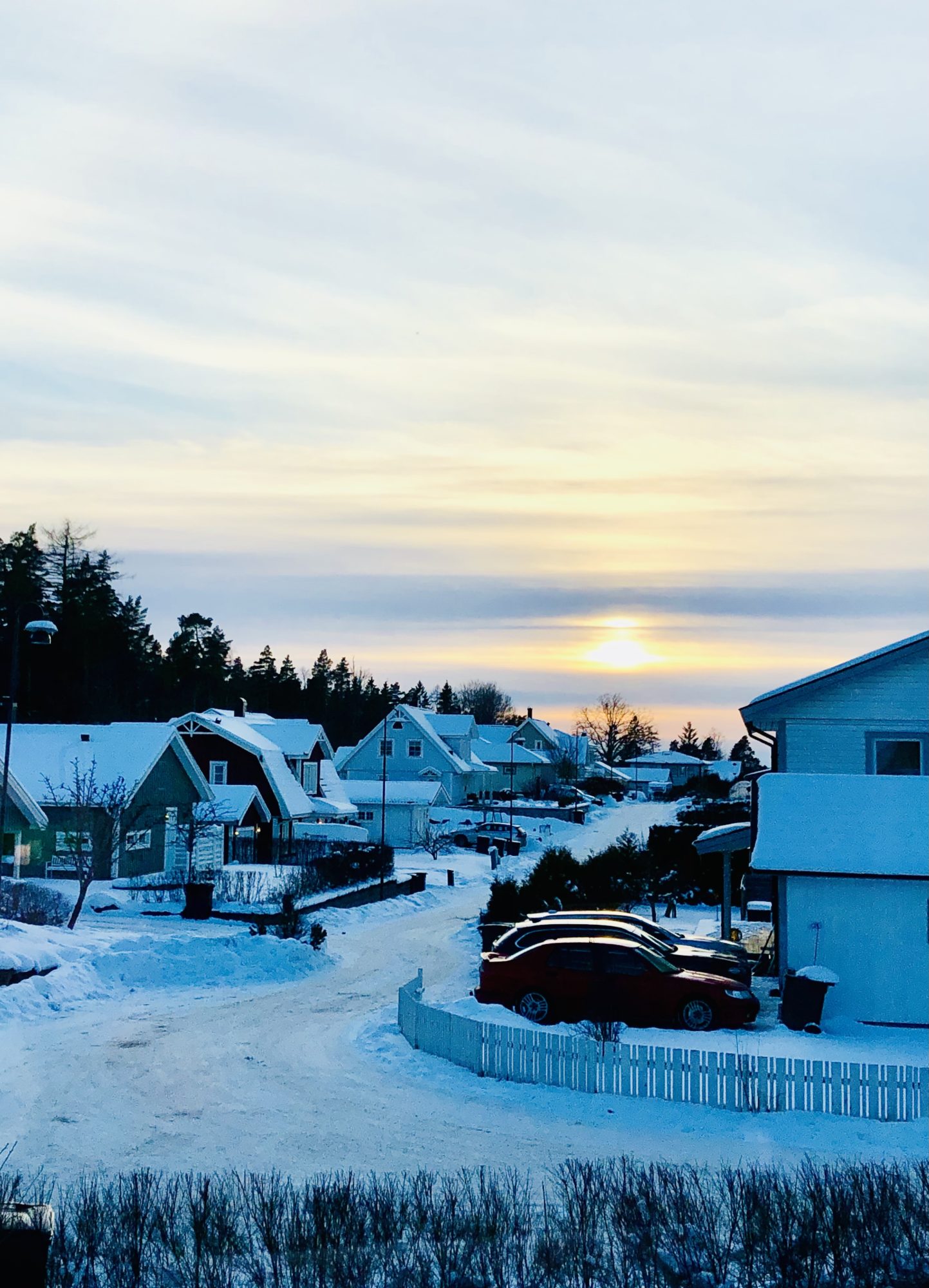 11E0B4B4-BE70-4847-9E01-09EBB1EF1EB7 - Veckans Bästa - vecka 7 2021 ♥