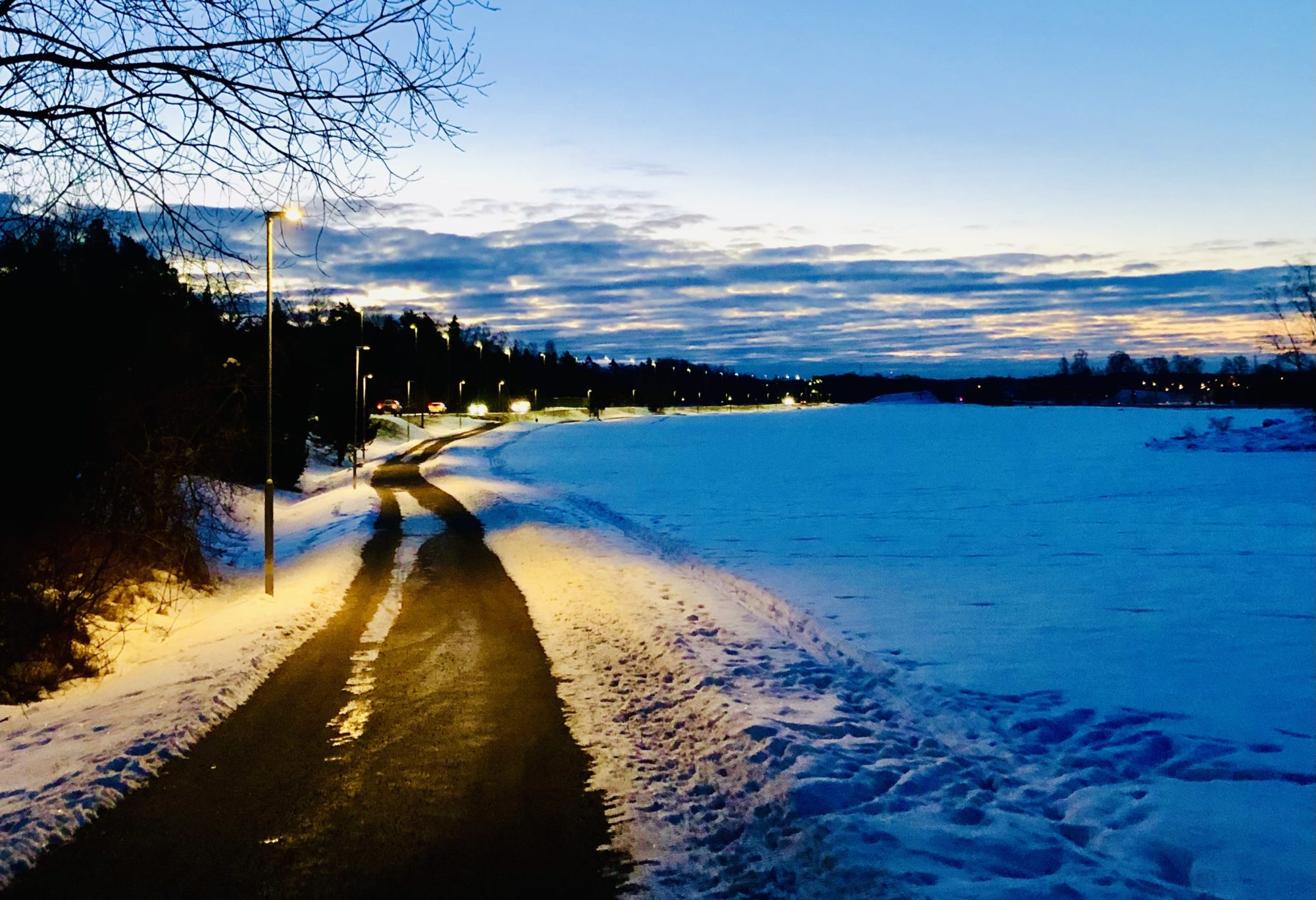 5B0EA32C-AFB1-4B40-A603-39B944DEC2E5 - Veckans Bästa - vecka 7 2021 ♥