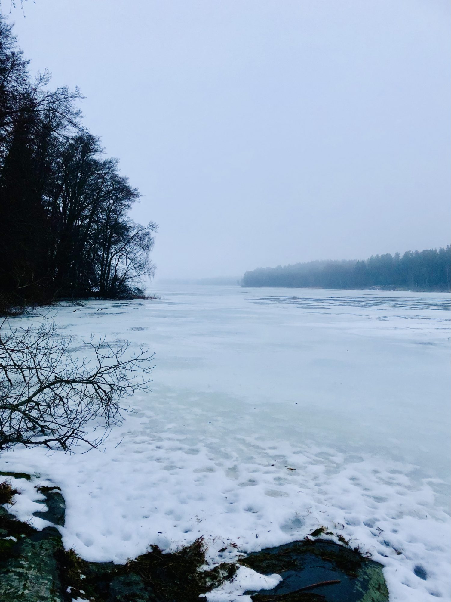 64DFB987-E5D8-4A7F-80CA-DDA8A44E3BD8 - Veckans Bästa - vecka 8 2021 ♥