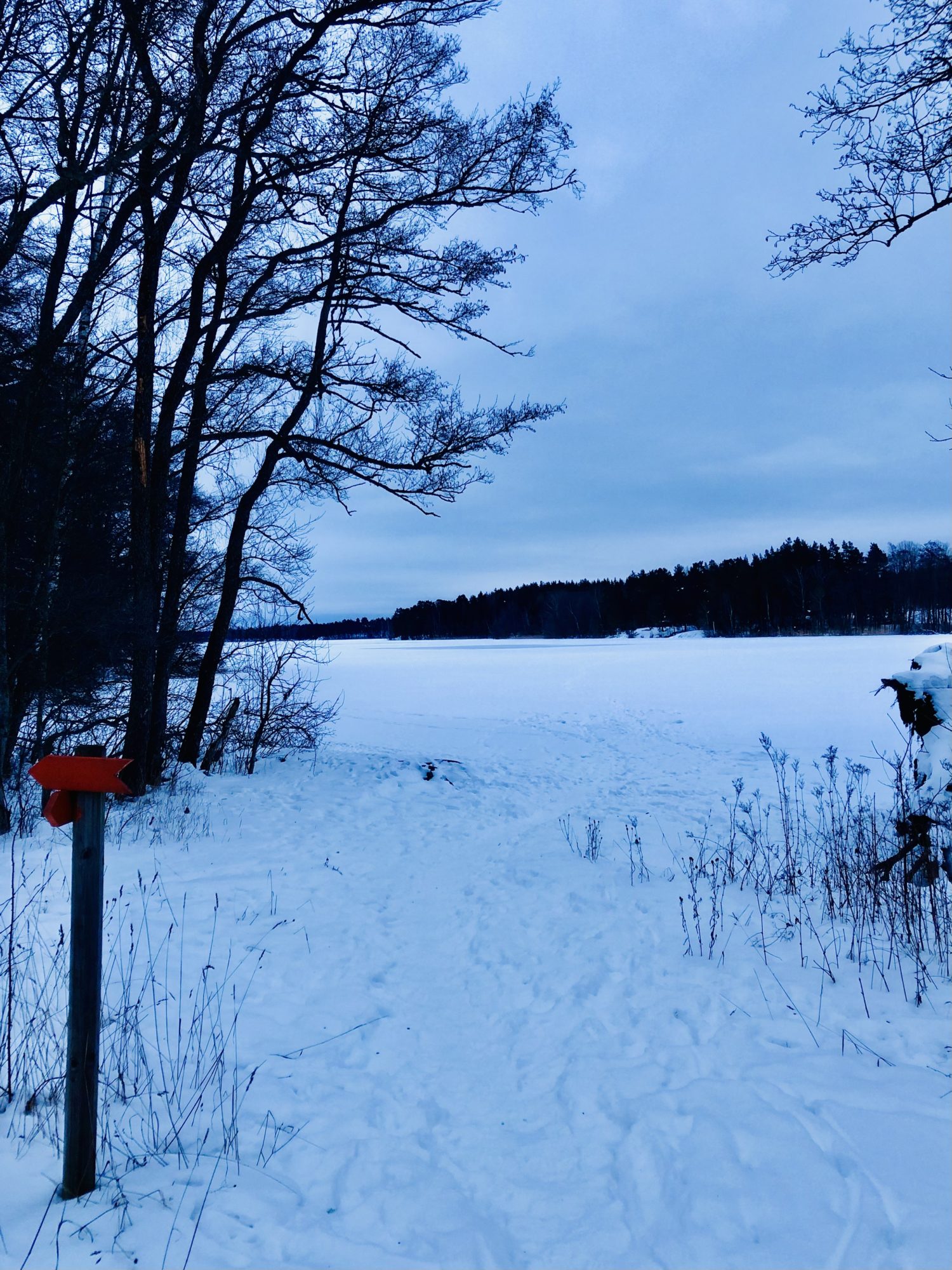 7CAF7DB2-AF1E-4607-B758-12044388E097 - Veckans Bästa - vecka 7 2021 ♥