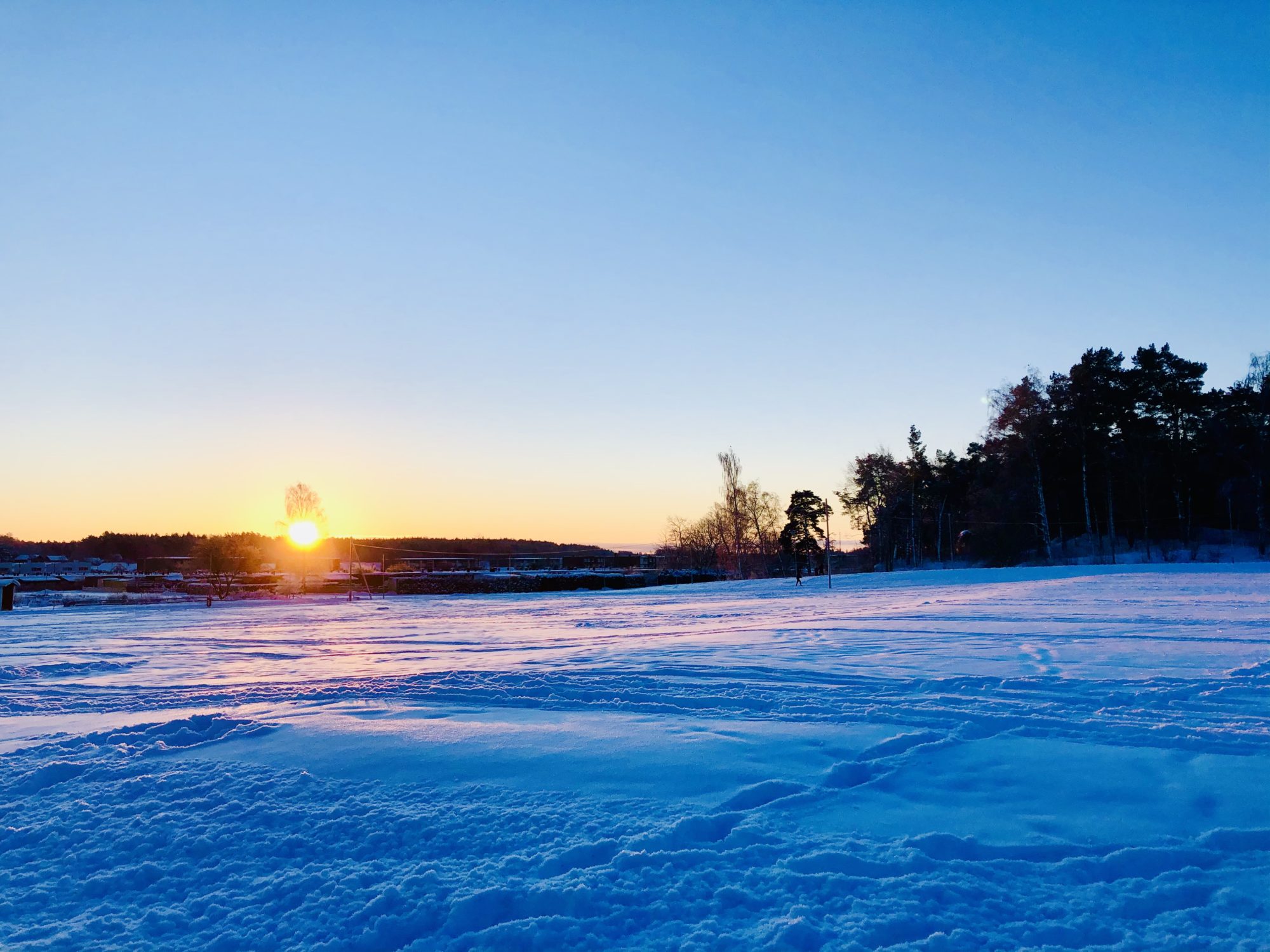 ACD58C39-1C52-47A1-A5ED-4A3345836F6B - Veckans Bästa - vecka 5 2021 ♥