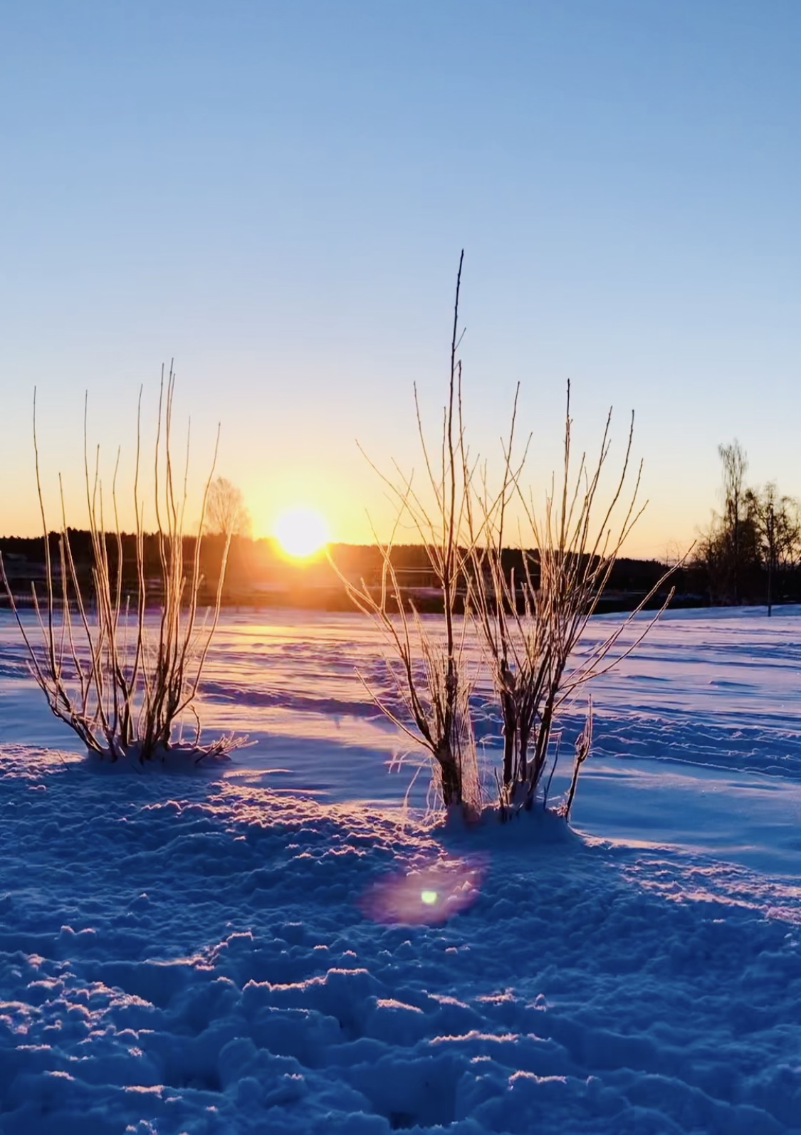 BA3F25F4-CBA5-4575-A5D5-BA130C4B31E0 - Veckans Bästa - vecka 5 2021 ♥