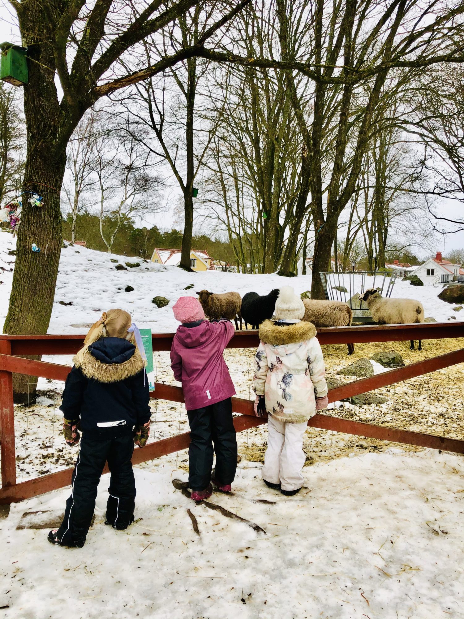 E247C39B-4FDB-45A9-895E-D3BCBC9C2662 - Corona utomhus