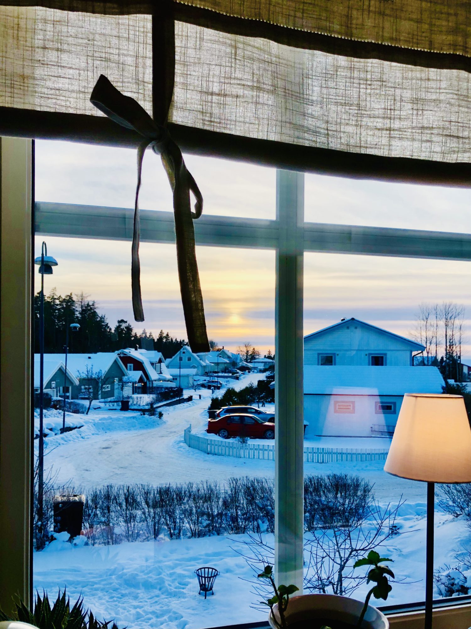 E6E78623-AB57-4AB8-A9D0-F22D8FBD8C60 - Veckans Bästa - vecka 7 2021 ♥