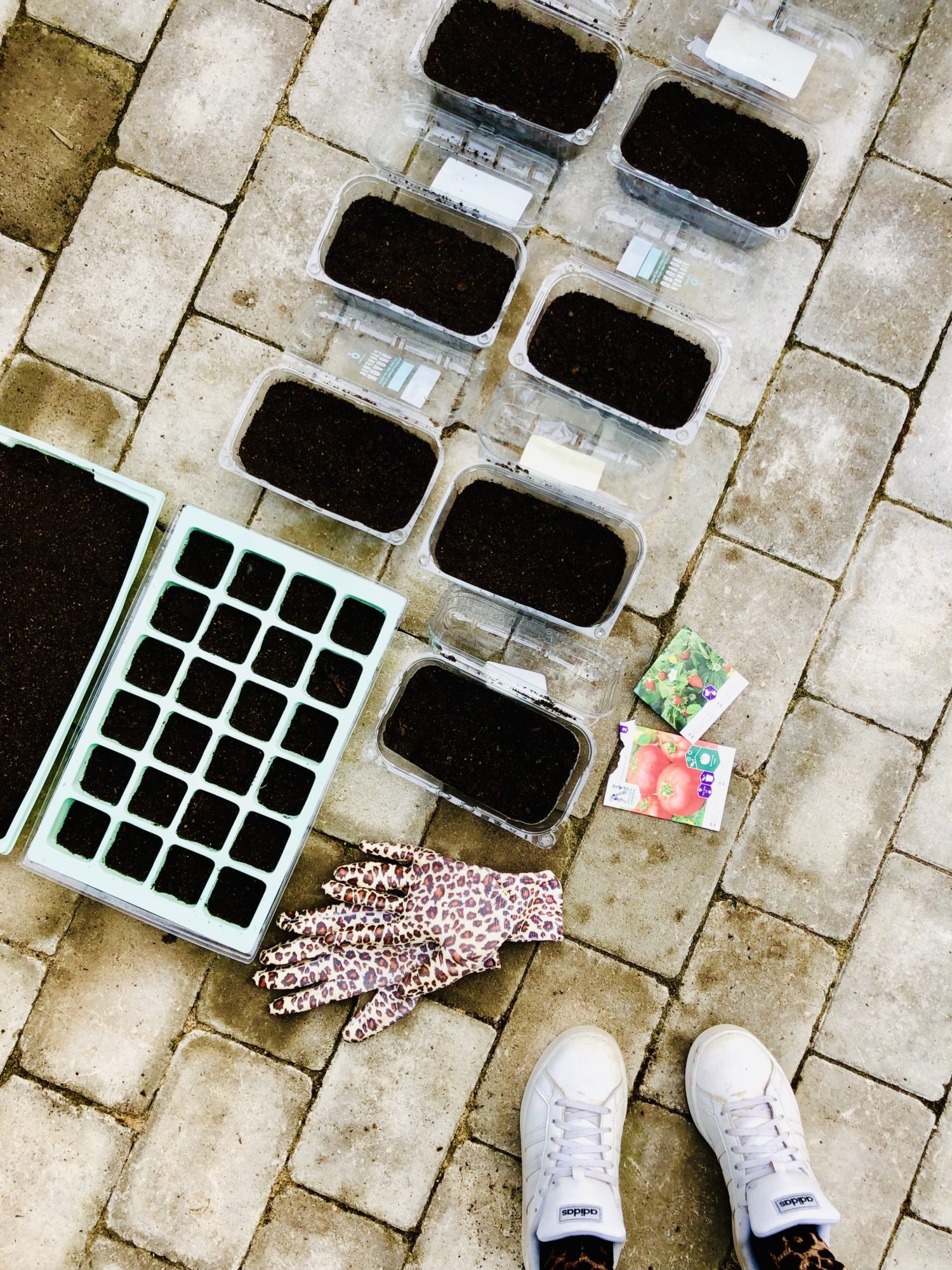 16CE937D-95DA-43ED-BC4D-39D65BC2B2CC - Trädgårdssäsongen 2021