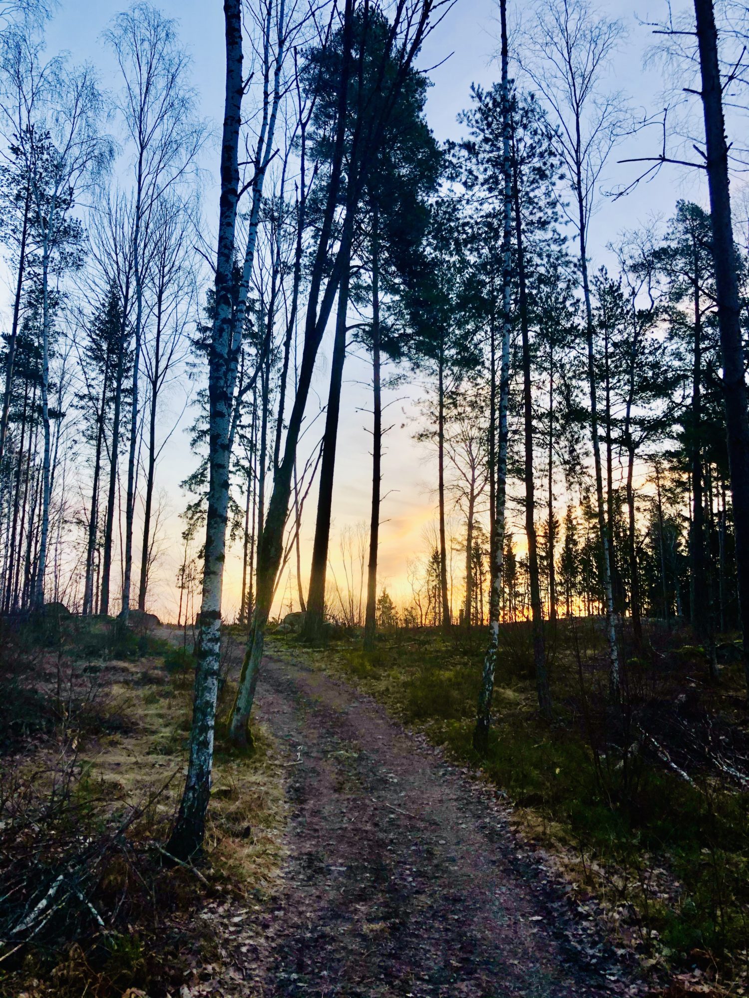 218AD26B-192D-46C7-8B11-18D432E8B42D - Vårens första morgonlöpning
