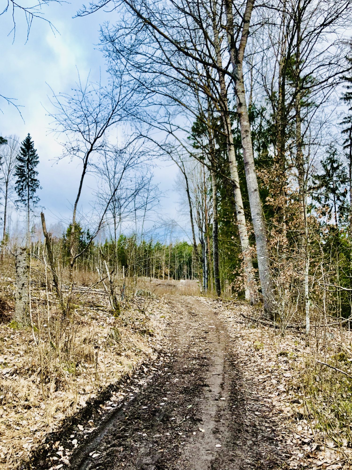 315C4D37-5DC3-46AC-AC7D-2A5282B76B7C - Veckans Bästa - vecka 12 2021 ♥