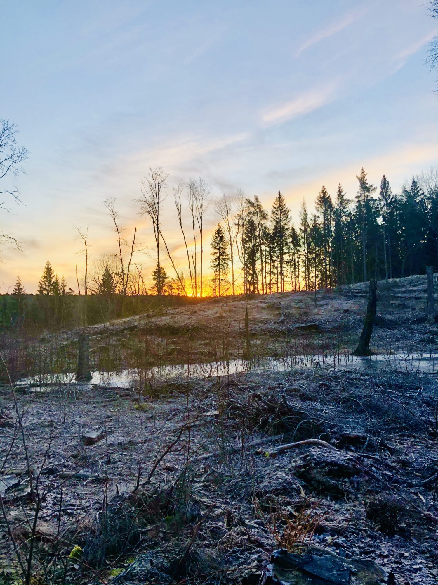 839E22D4-94D0-44D1-8F9E-3DDE418D4ADF - Vårens första morgonlöpning