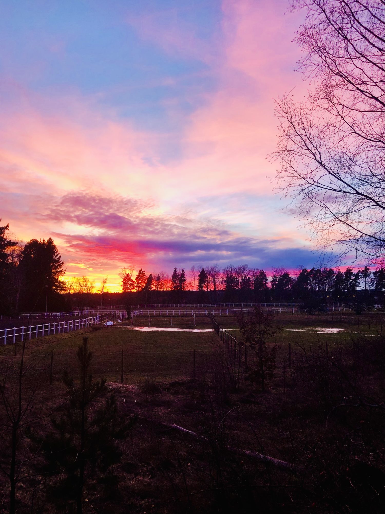 864A53A5-A012-452D-BAE9-4DE1DC5B56EF - Veckans Bästa - Sportlovsveckan 2021 ♥