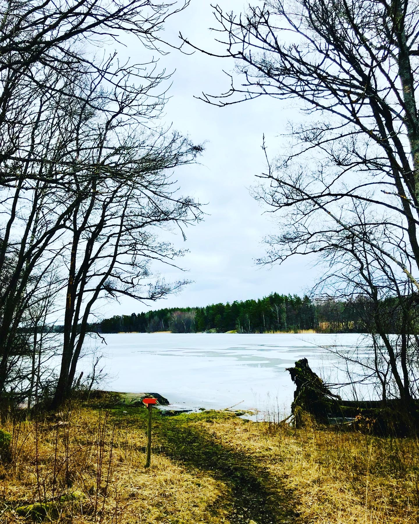 AFFBF06A-88B2-49A4-9EA4-64B6F86BCCD9 - promenad utan podd