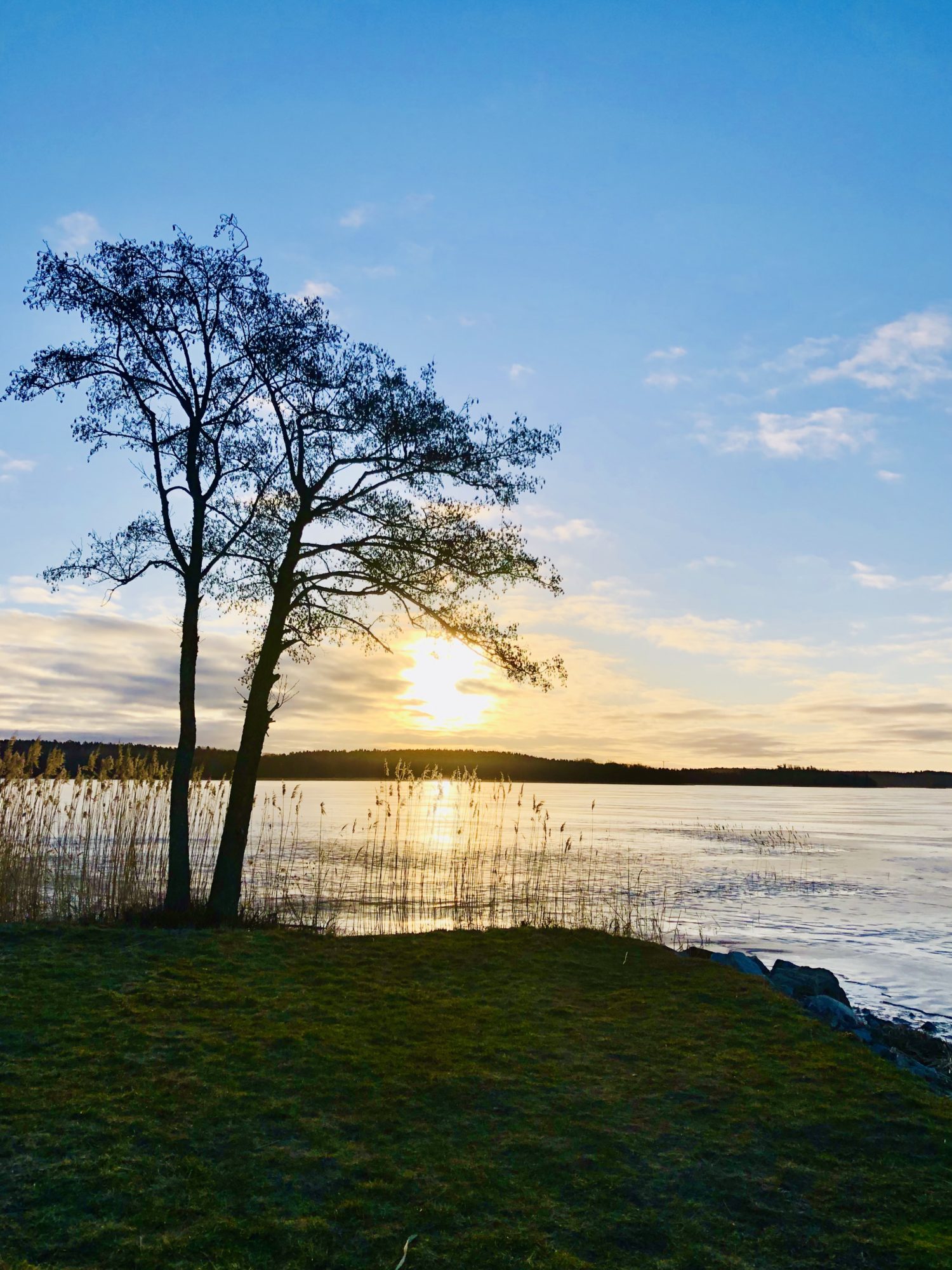 E6AE2795-ED57-42E9-A2F8-629FA30A8856 - Veckans Bästa - Sportlovsveckan 2021 ♥